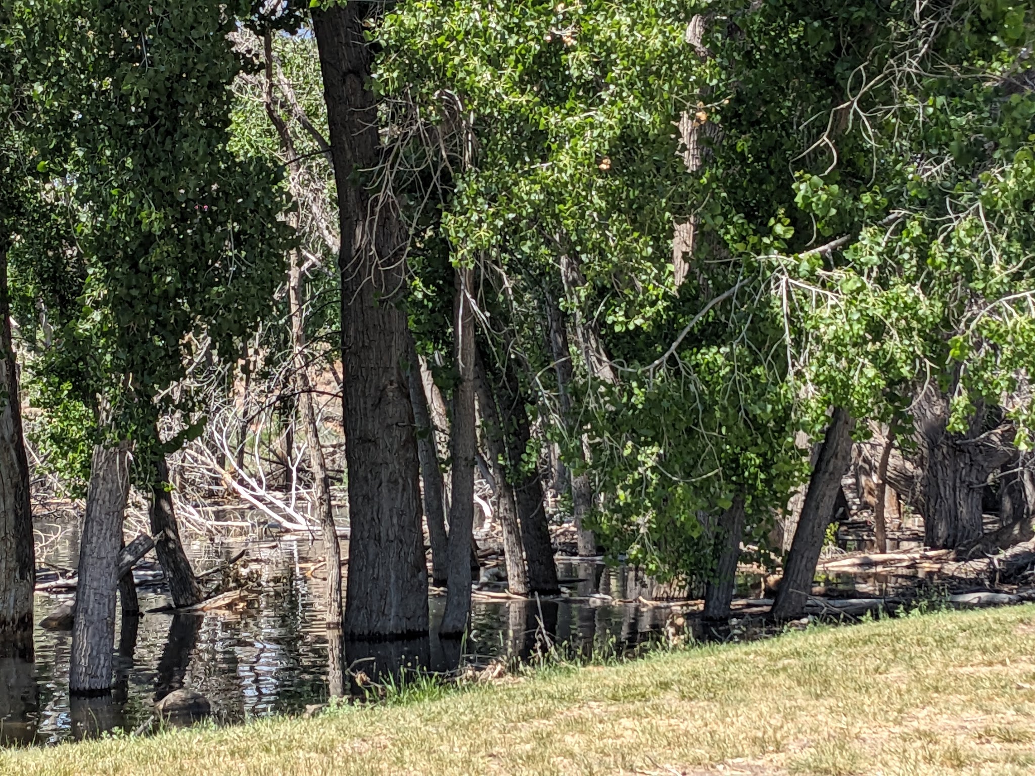 Steinaker State Park