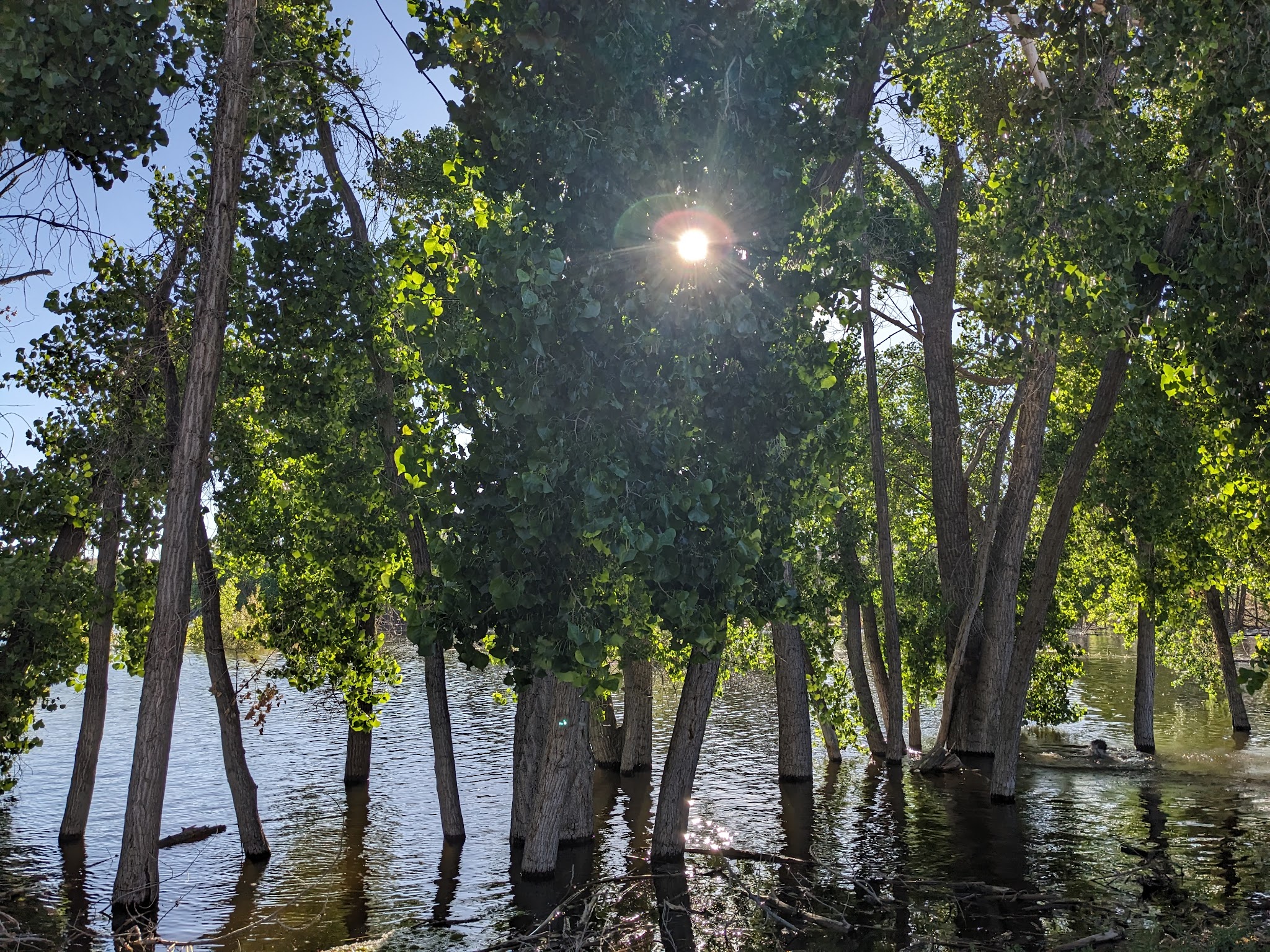 Steinaker State Park