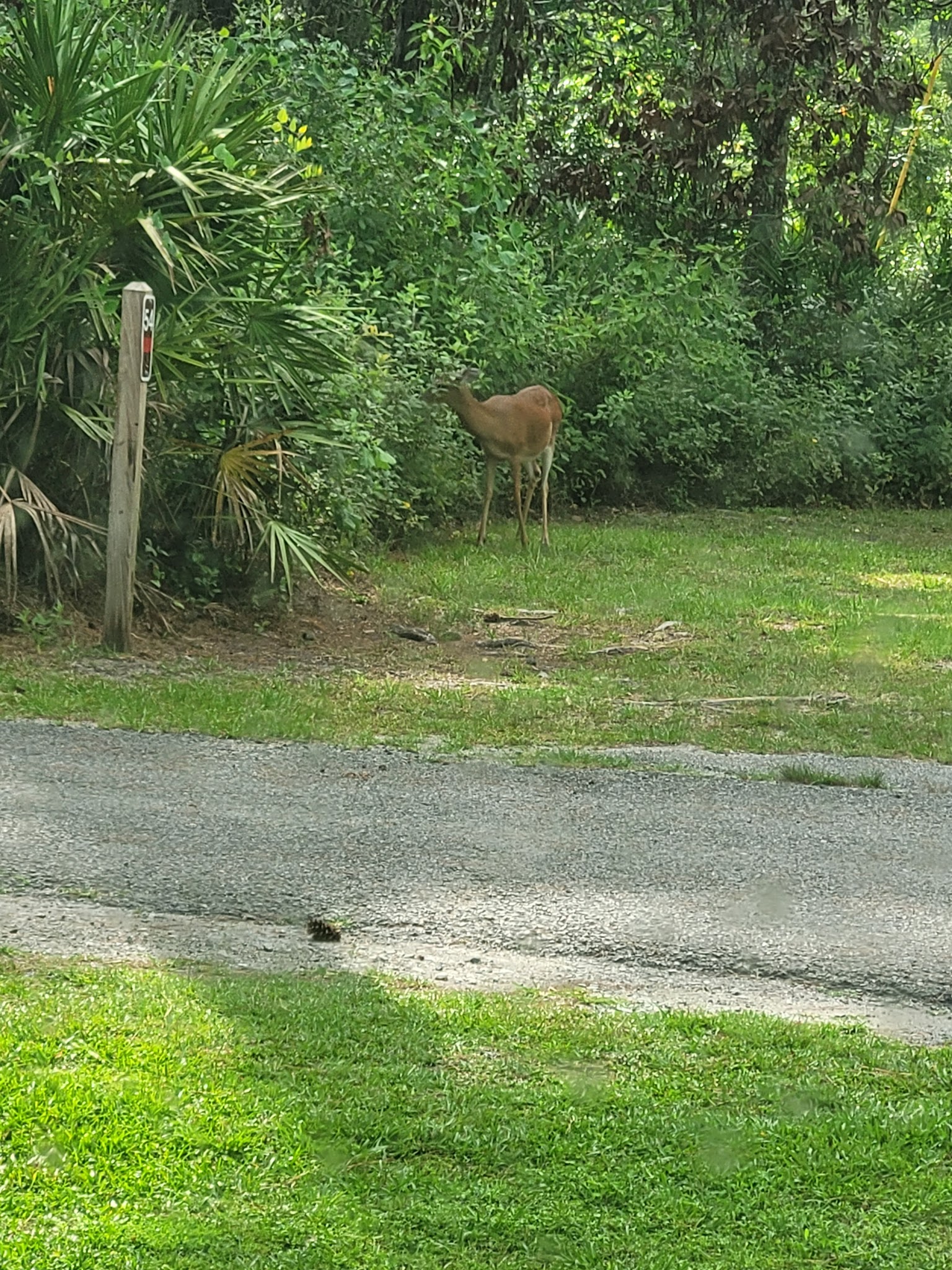 Stephen C Foster State Park