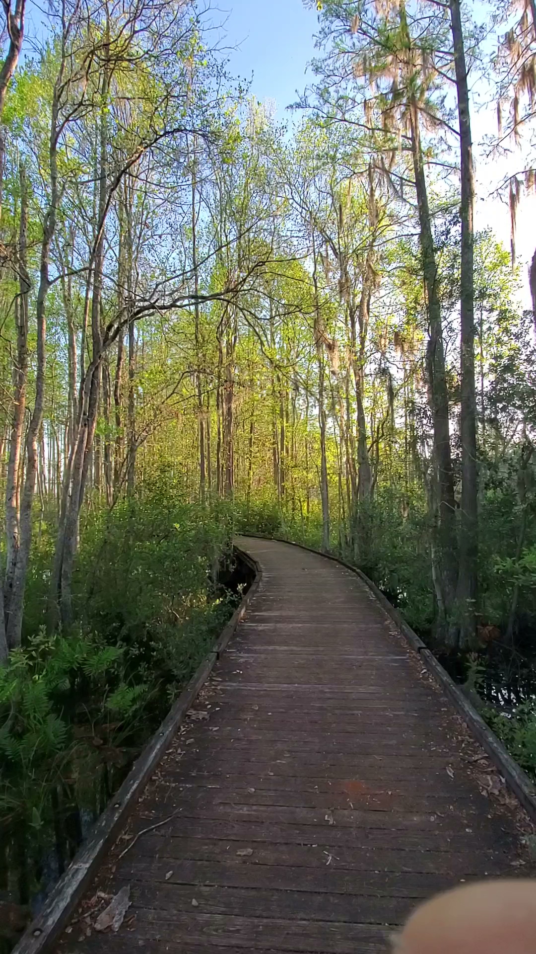 Stephen C Foster State Park