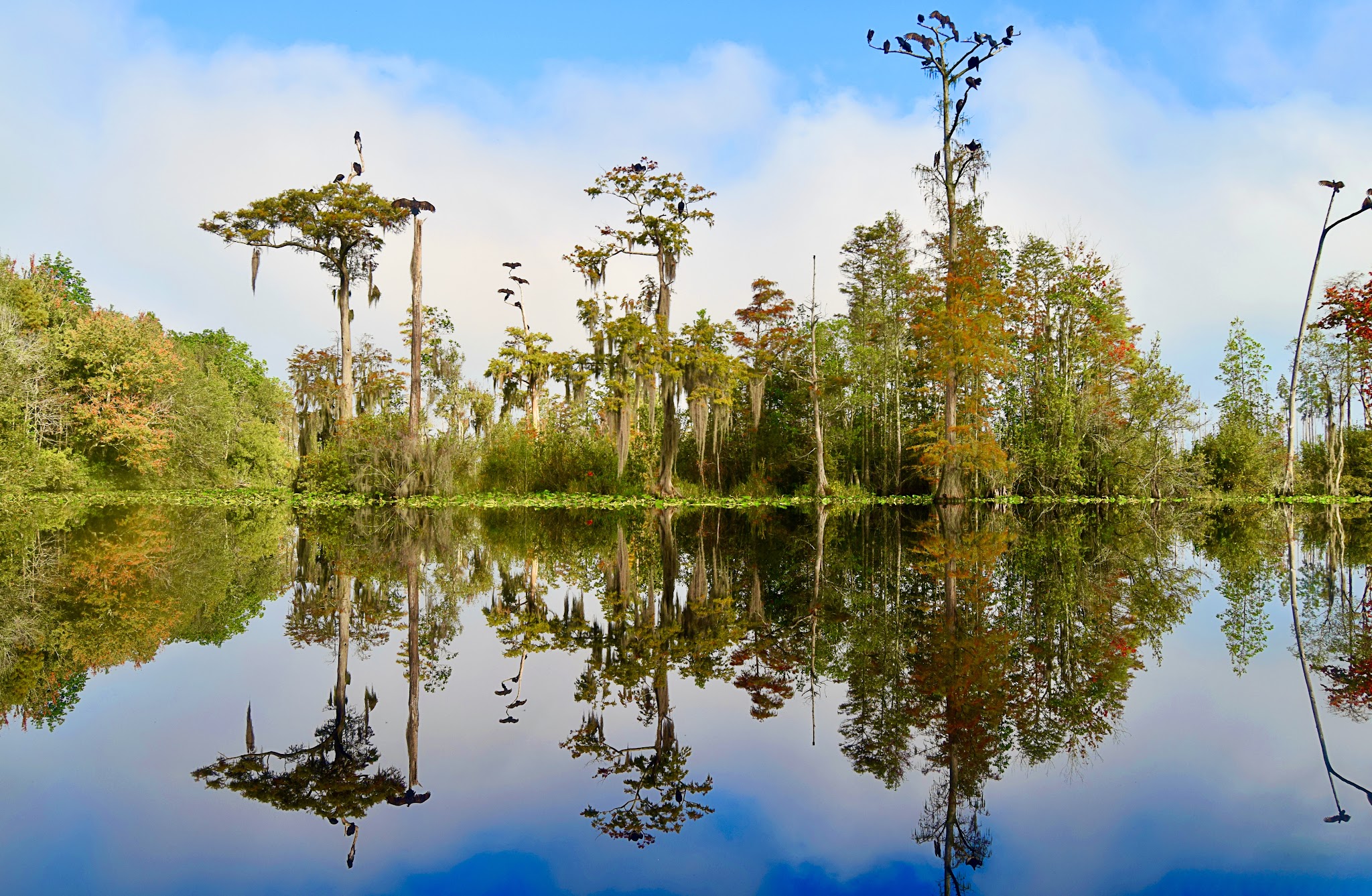 Stephen C Foster State Park