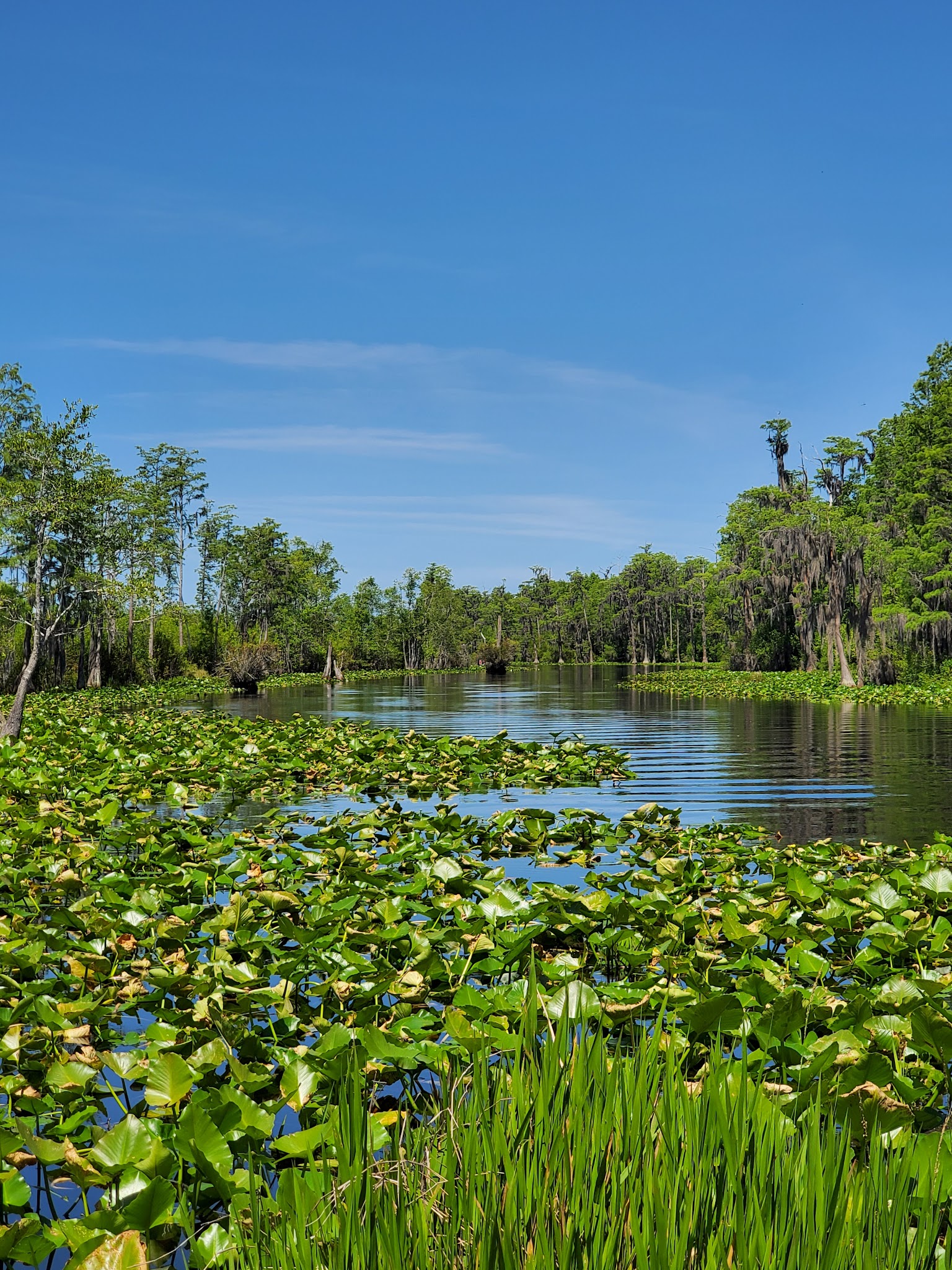 Stephen C Foster State Park
