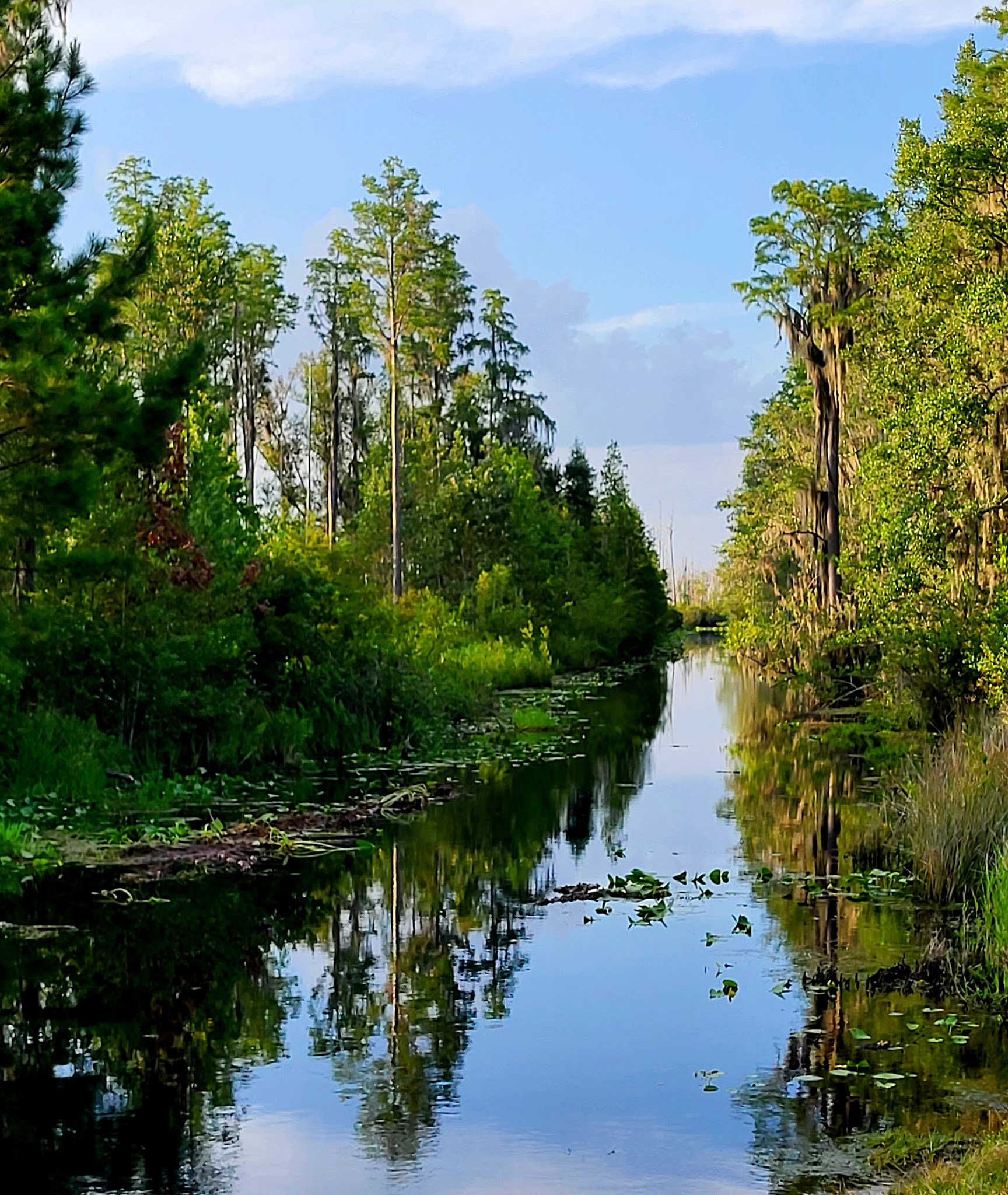 Stephen C Foster State Park