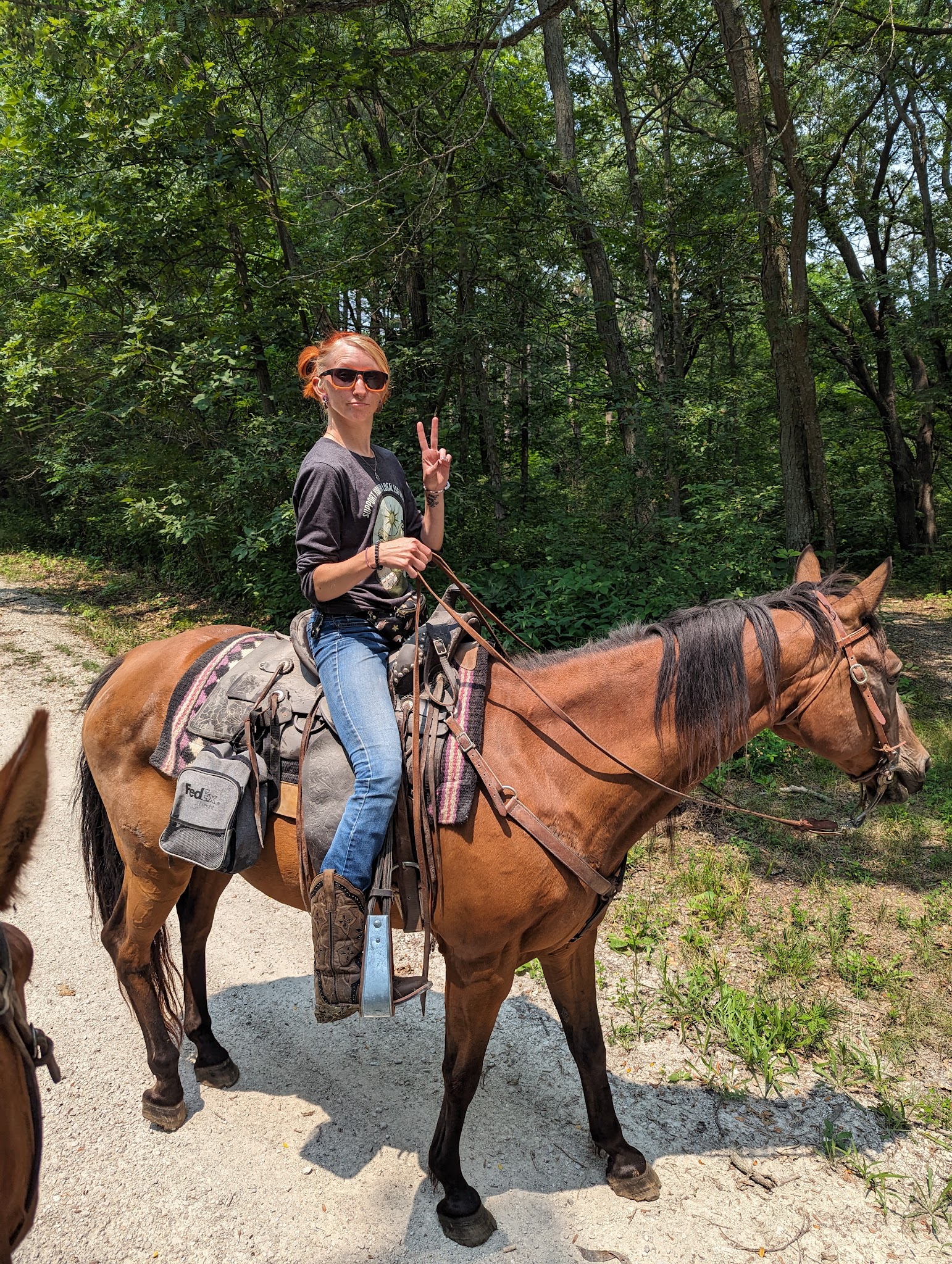 Stephens Forest Campground