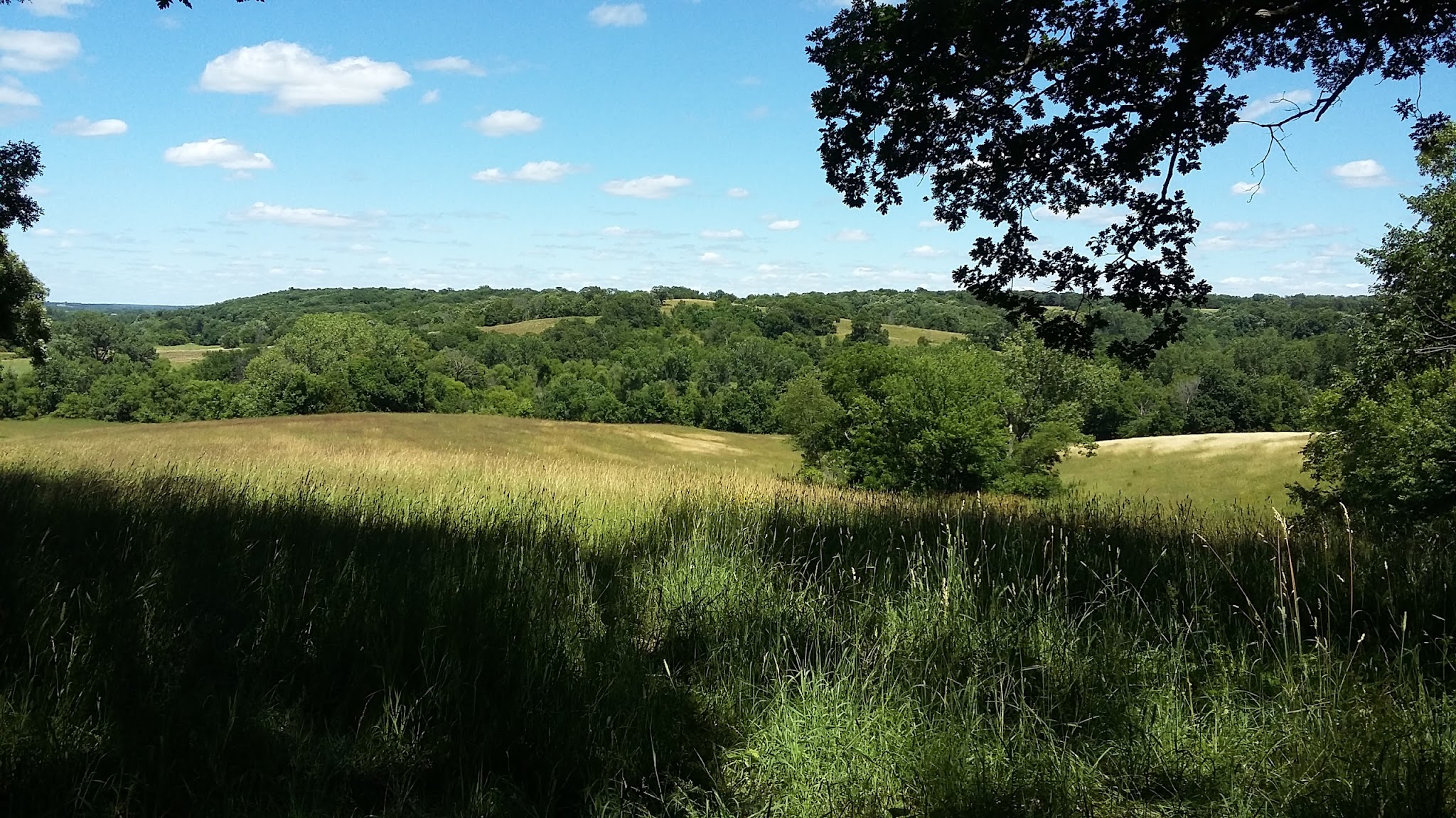 Stephens Forest Campground