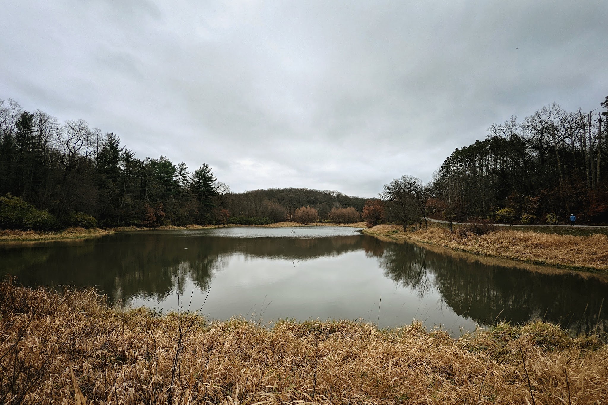 Stephens Forest Campground