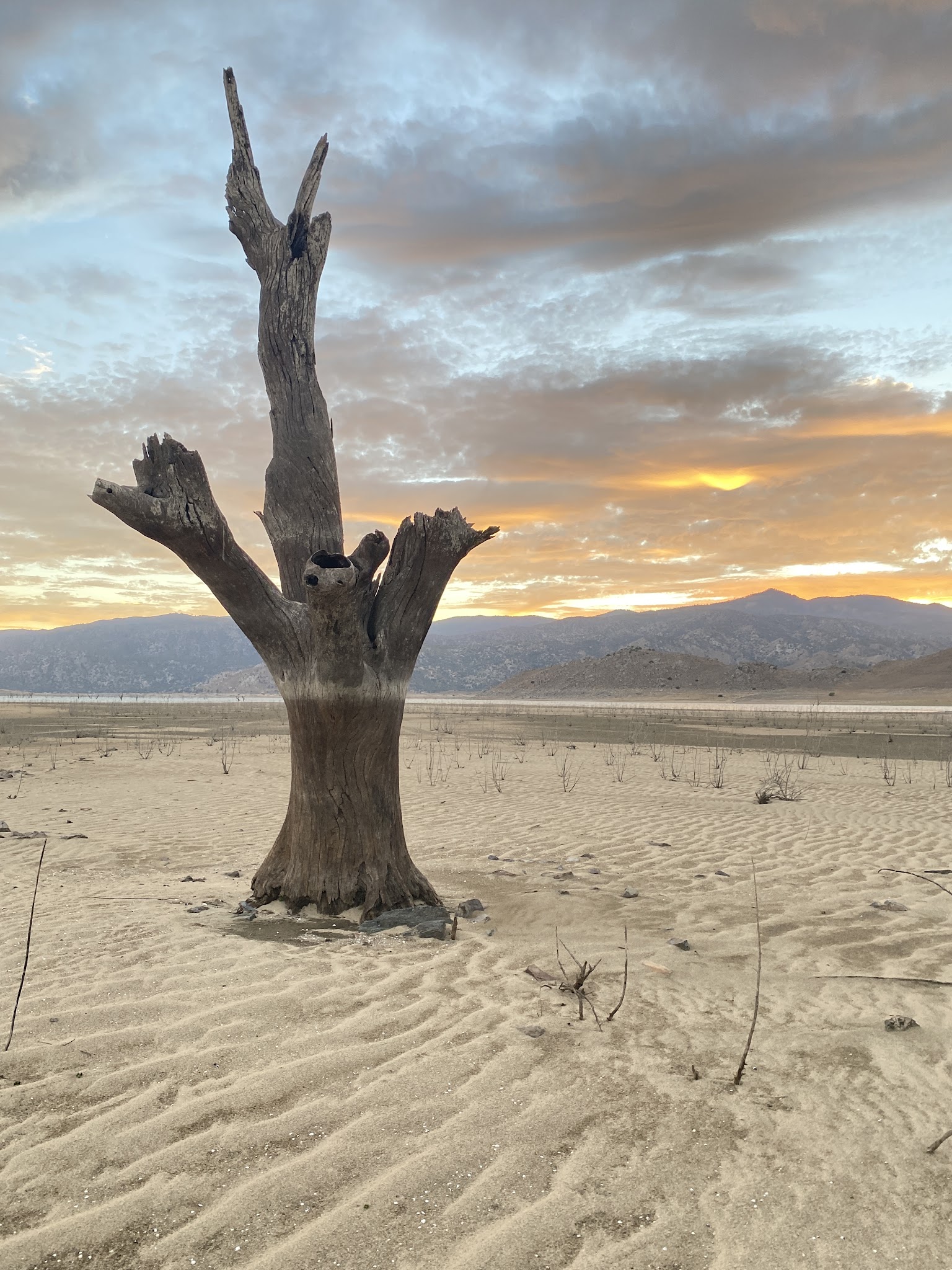 Stine Cove Fishing Site