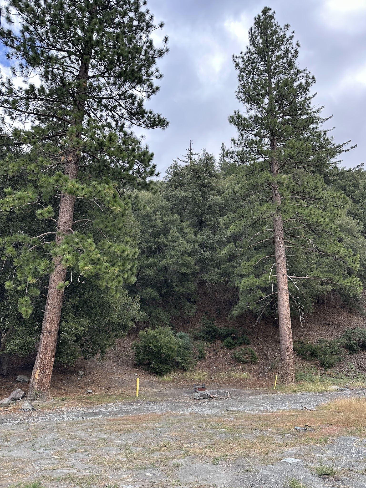 Stockton Flats Yellow Post Sites