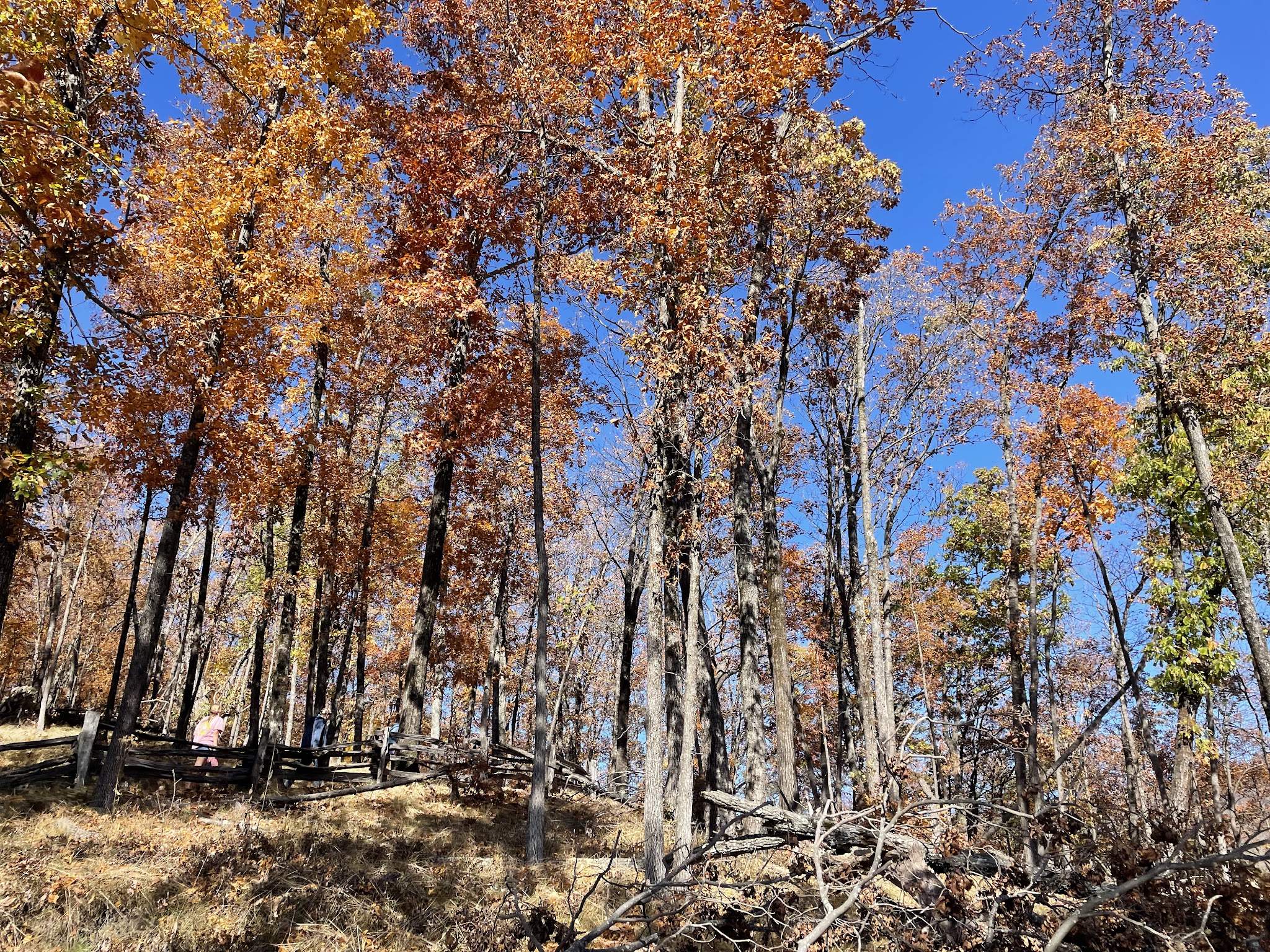 Stone Mountain State Park
