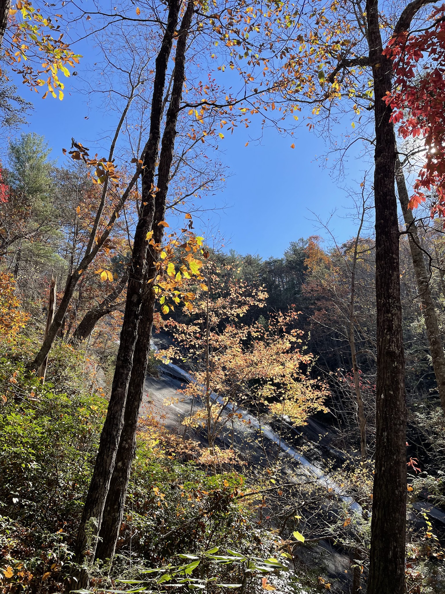 Stone Mountain State Park