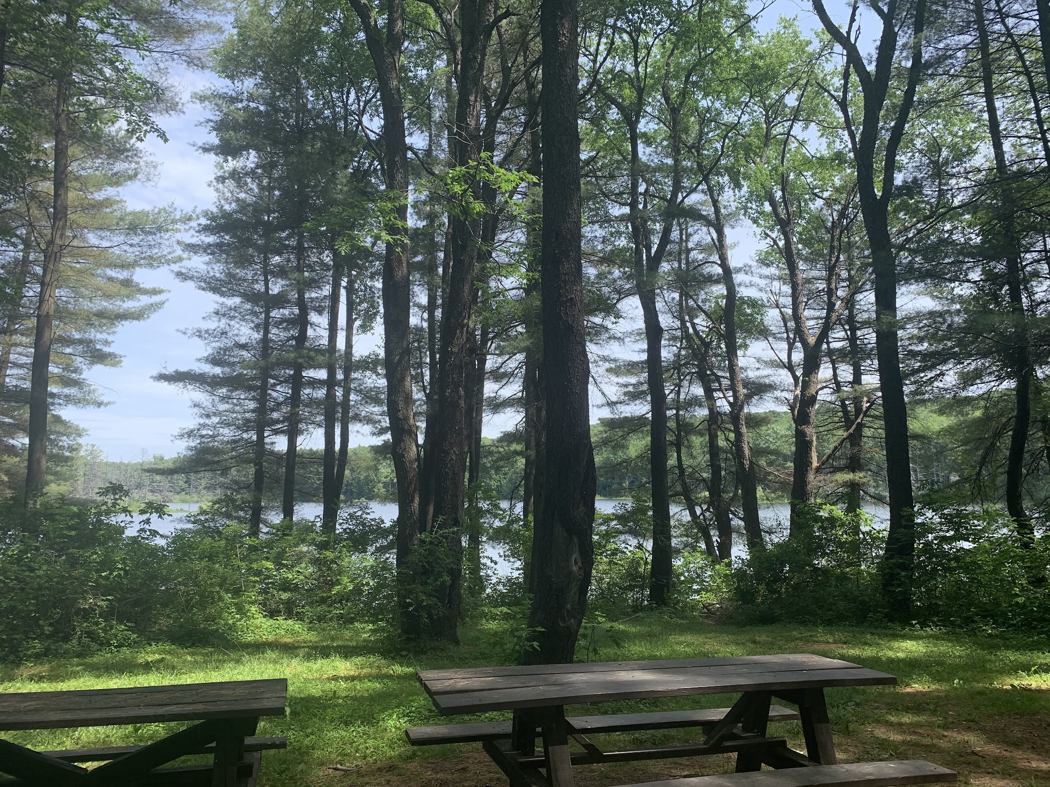 Stoney Pond State Forest Camping Area