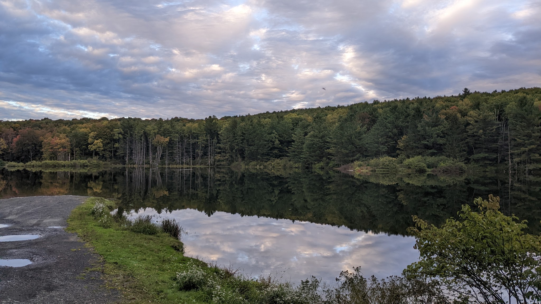 Stoney Pond State Forest Camping Area