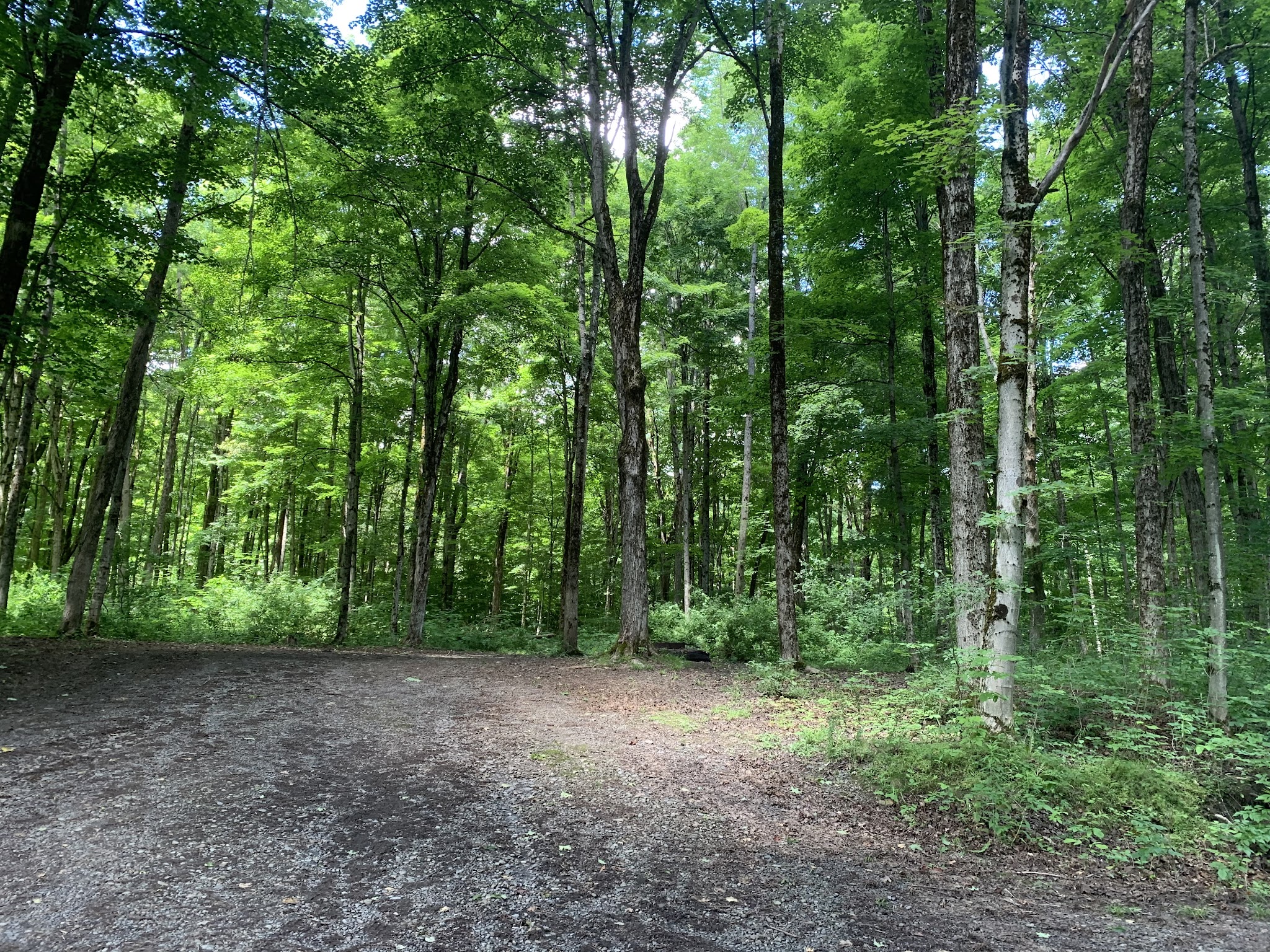 Stoney Pond State Forest Camping Area