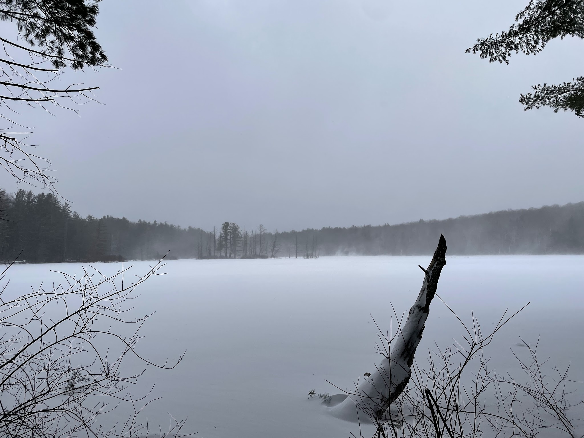 Stoney Pond State Forest Camping Area