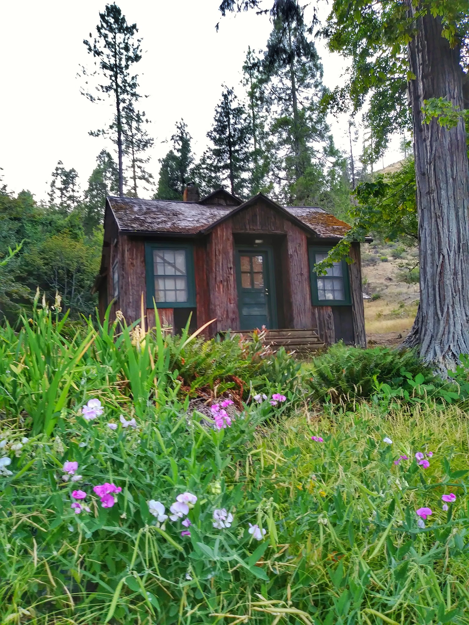 Store Gulch Campground