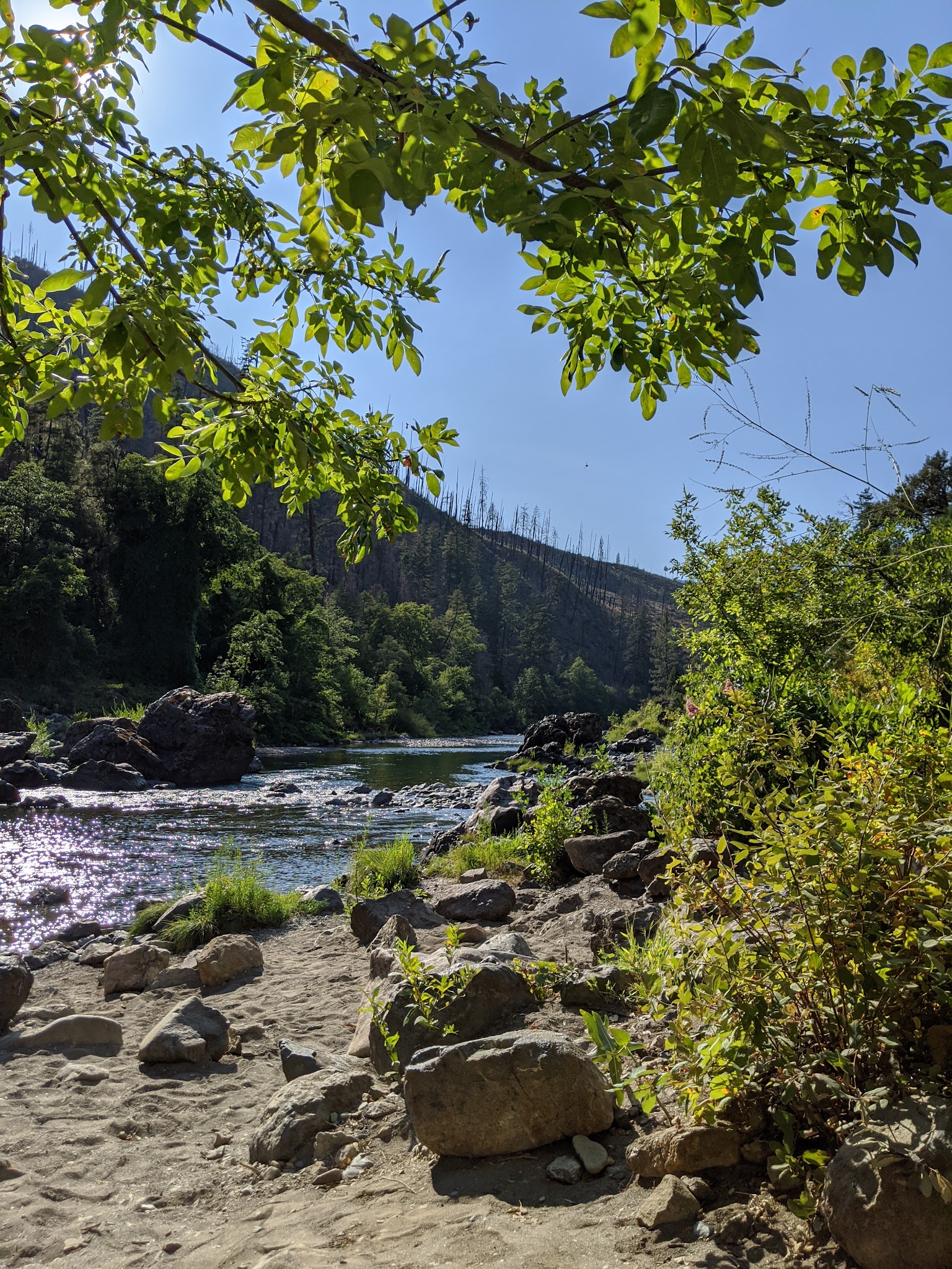 Store Gulch Campground
