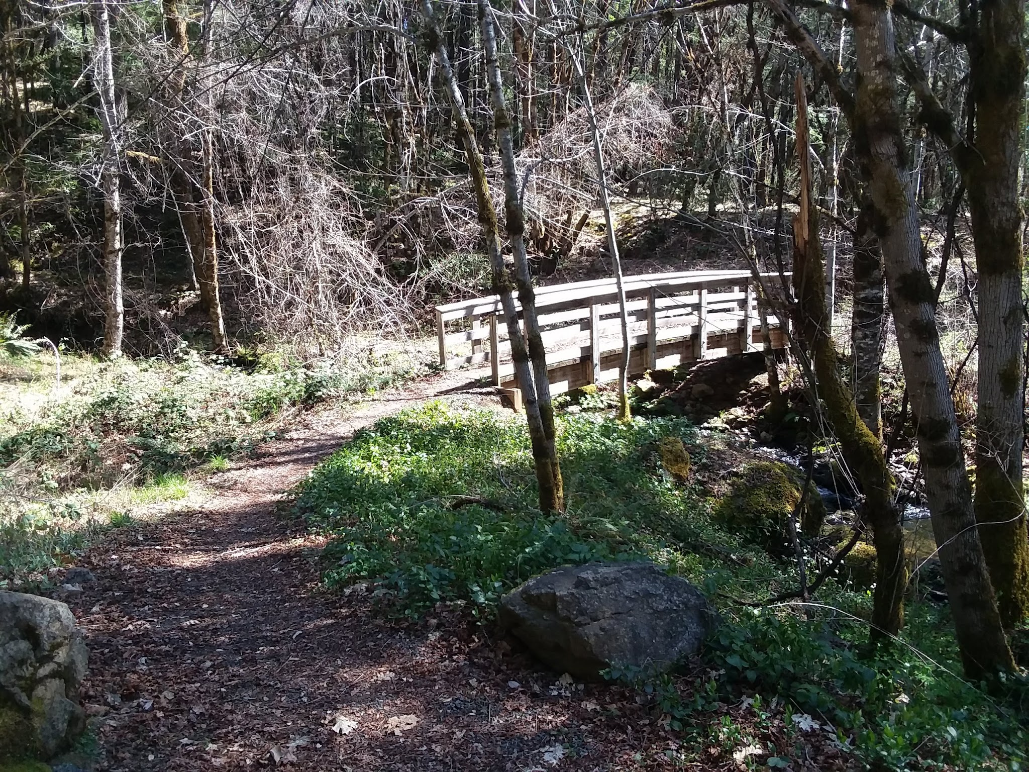 Store Gulch Campground