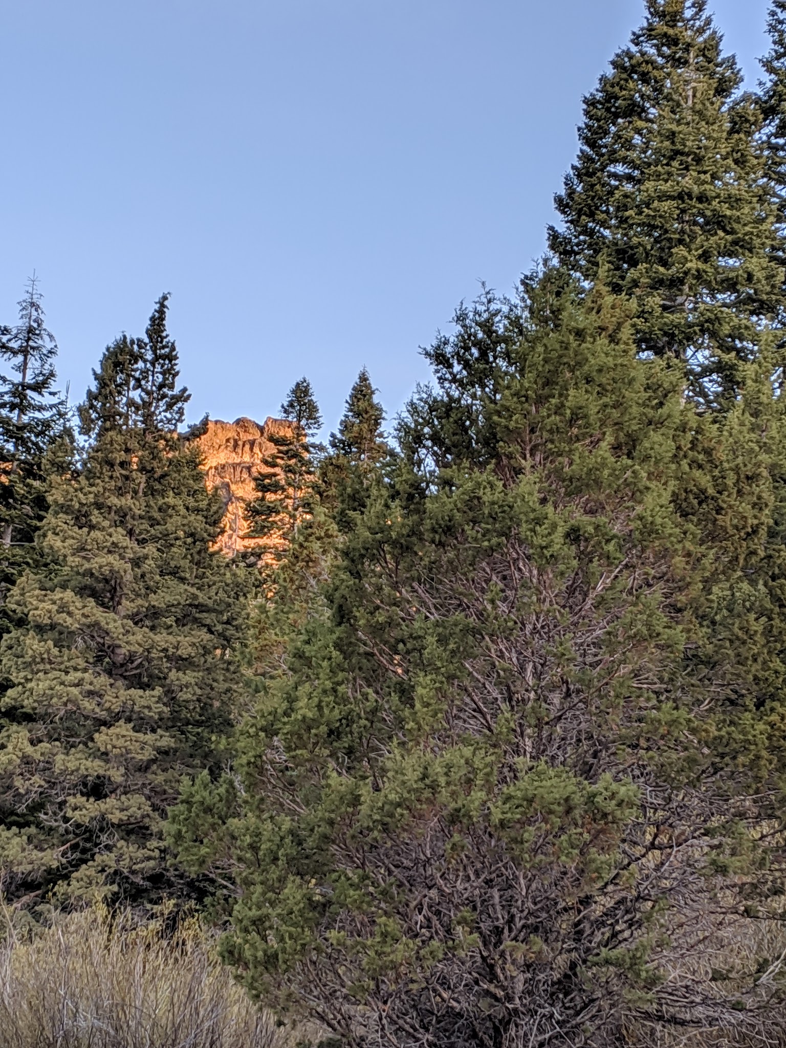 Stough Reservoir Campground