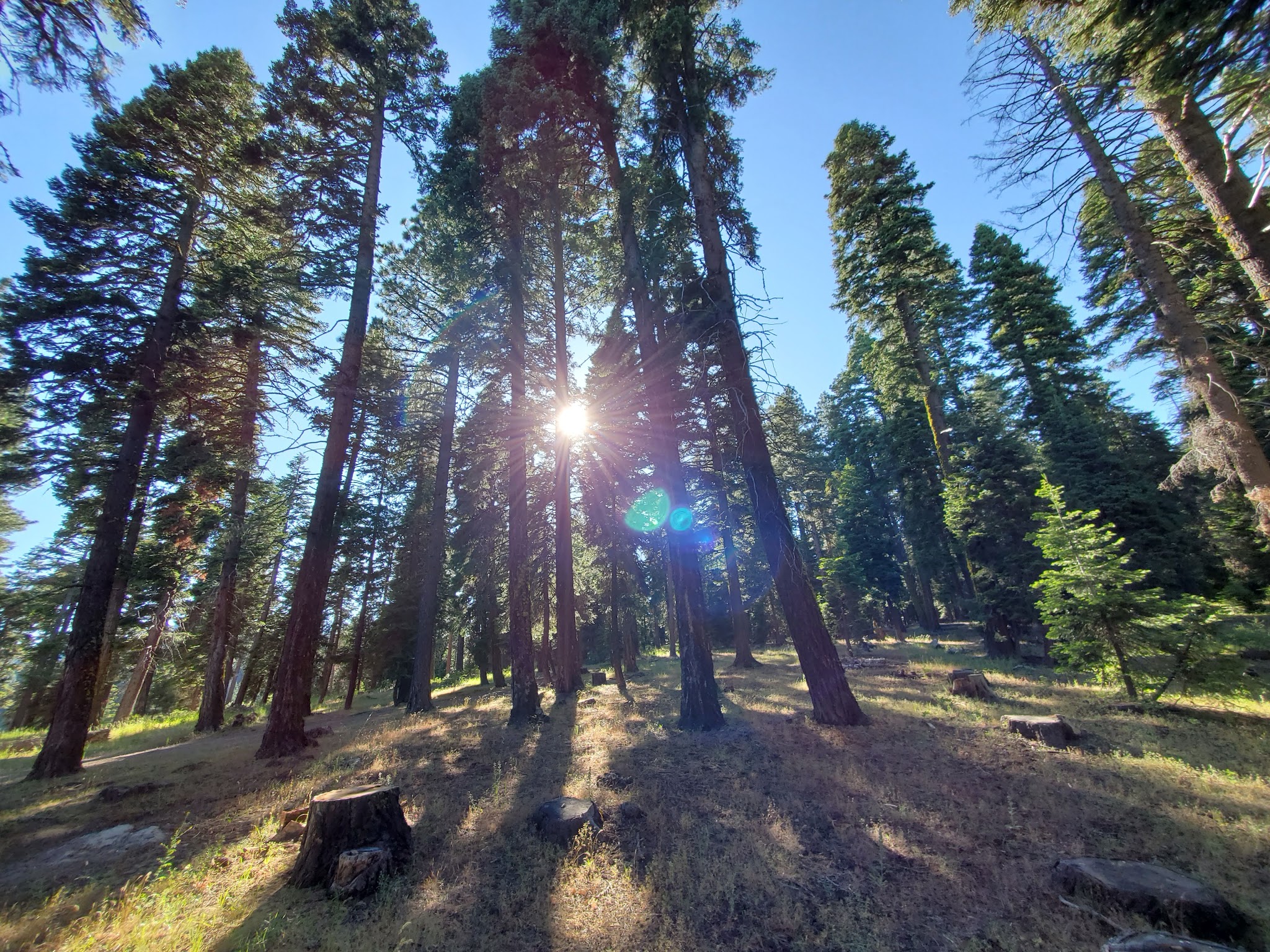 Stough Reservoir Campground