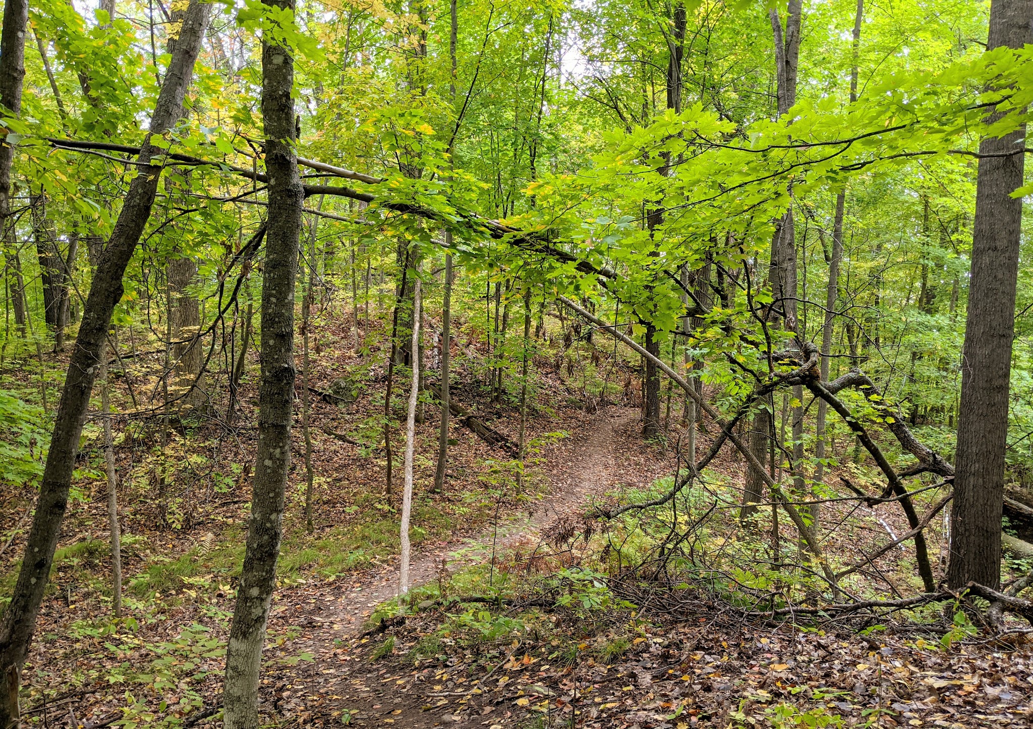 Straight Lake State Park
