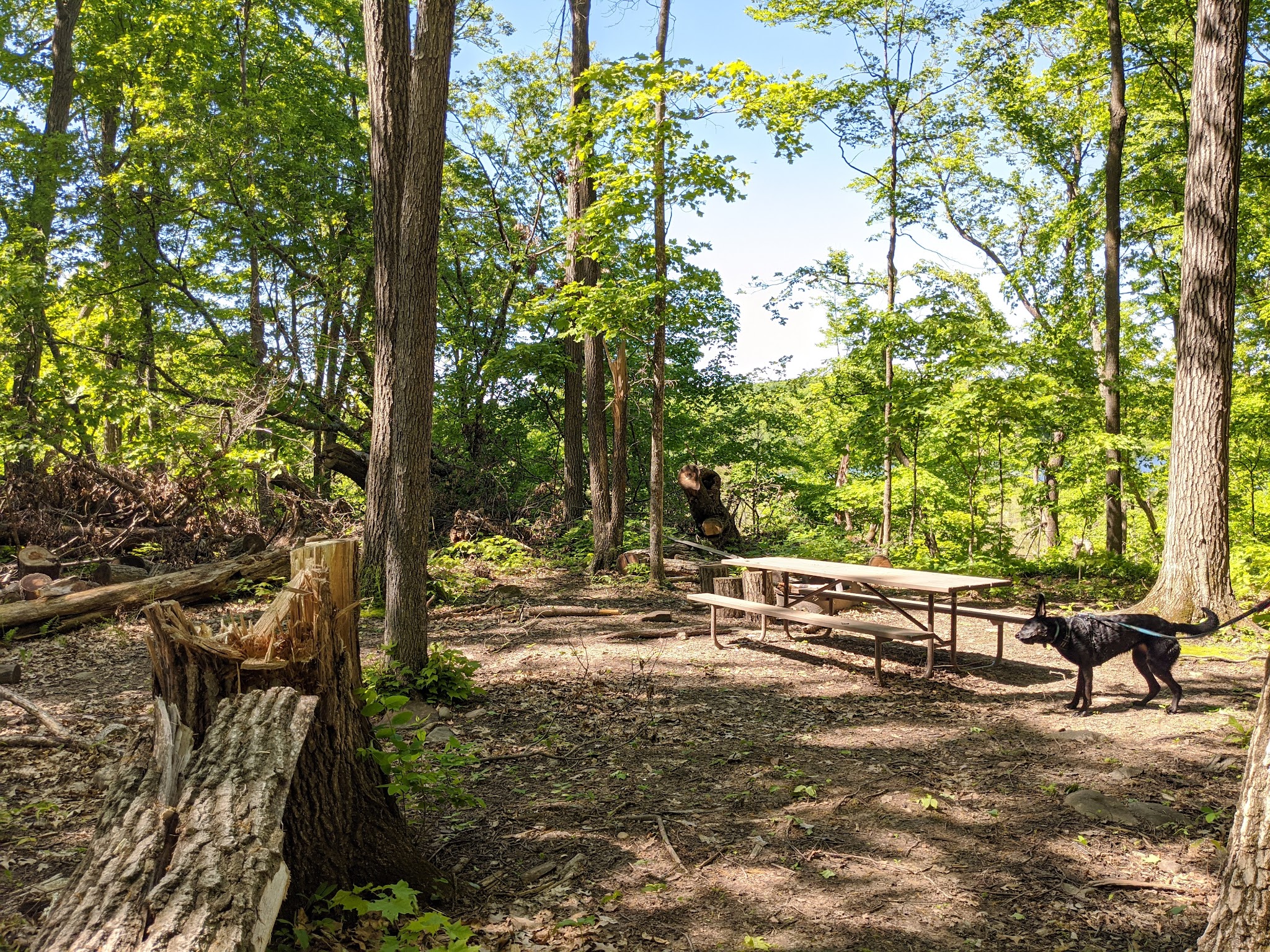 Straight Lake State Park