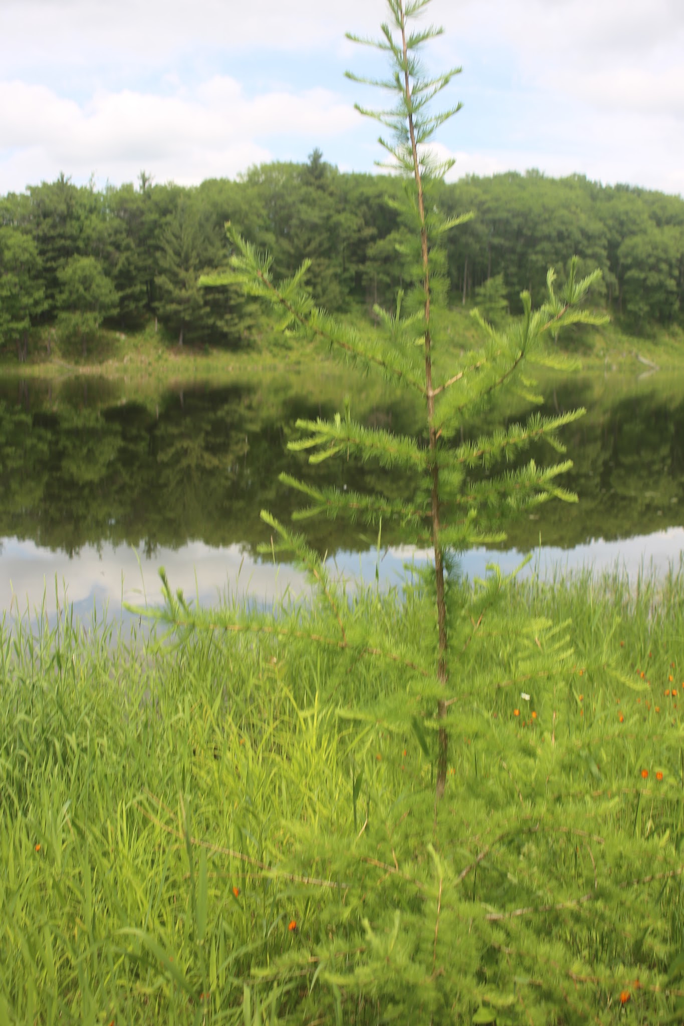 Straight Lake State Park