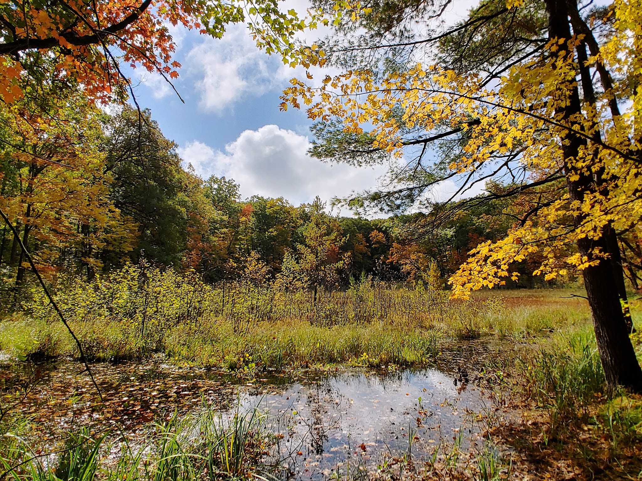 Straight Lake State Park