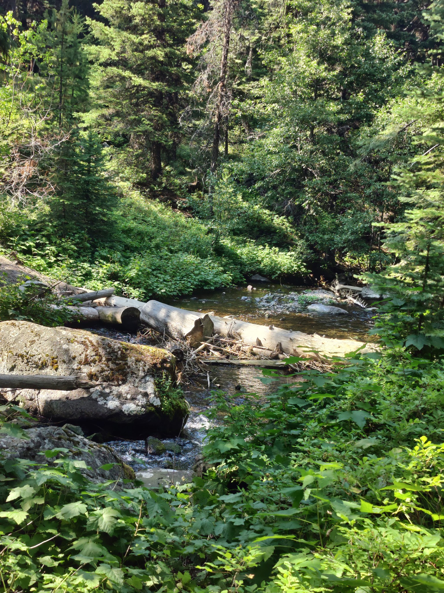 Strawberry Campground