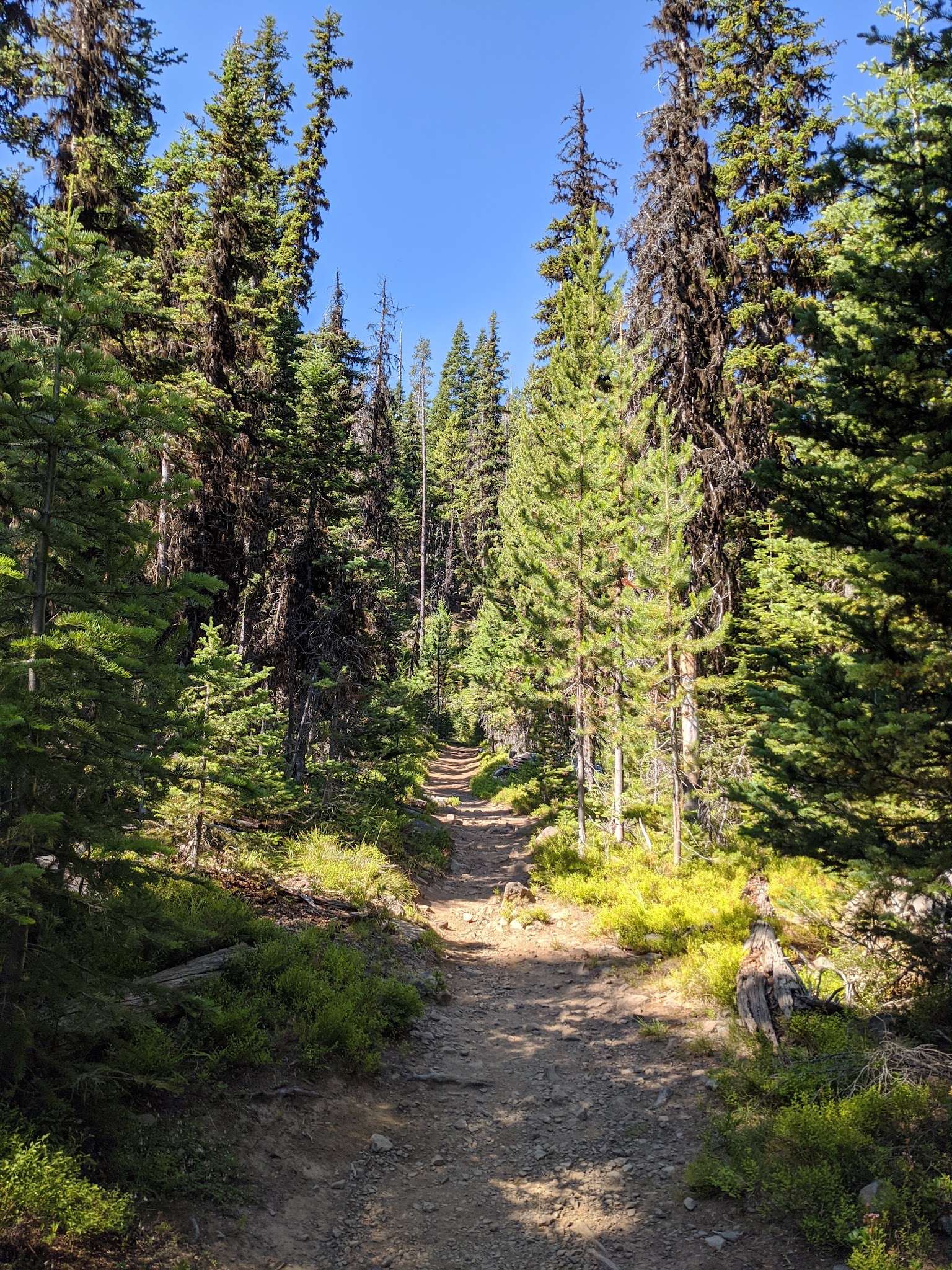 Strawberry Campground