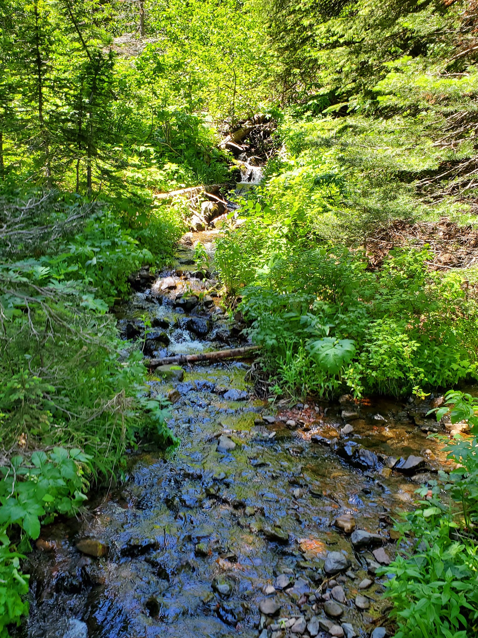 Strawberry Campground