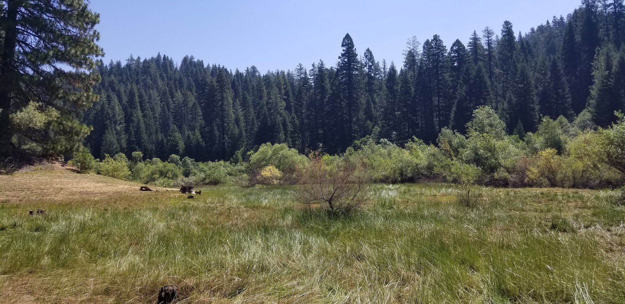 Strawberry Campground