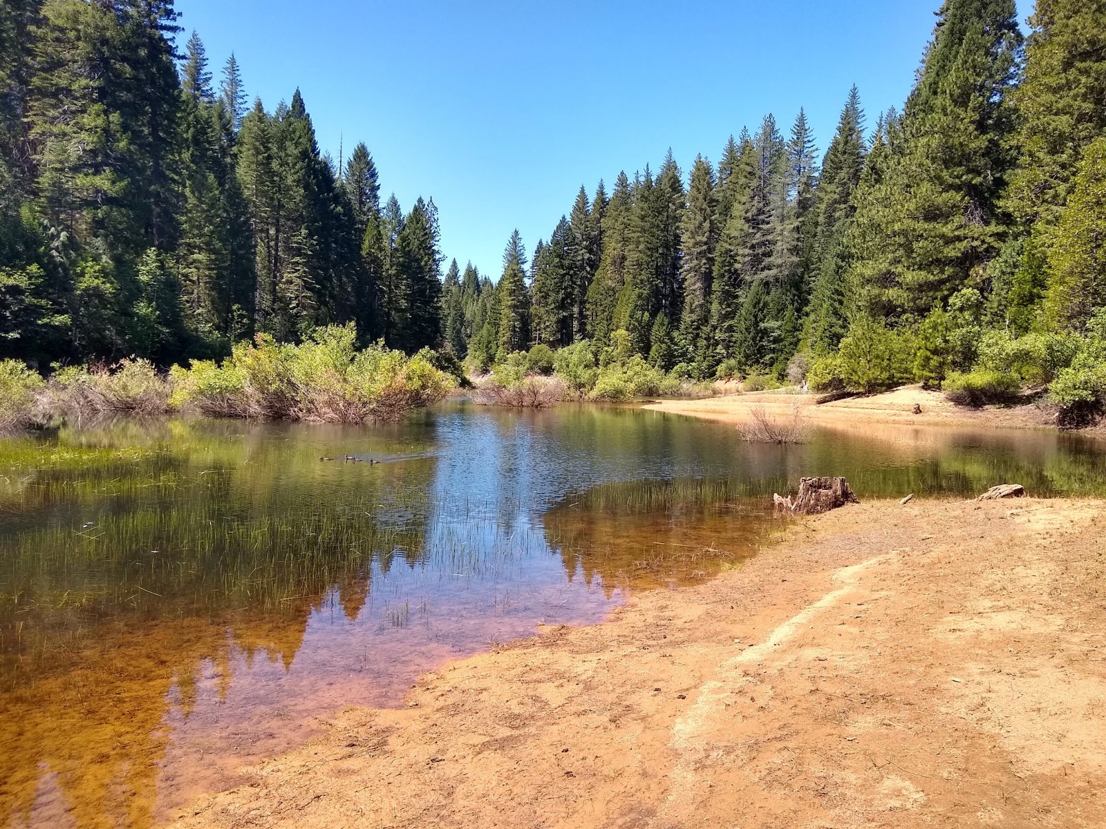 Strawberry Campground