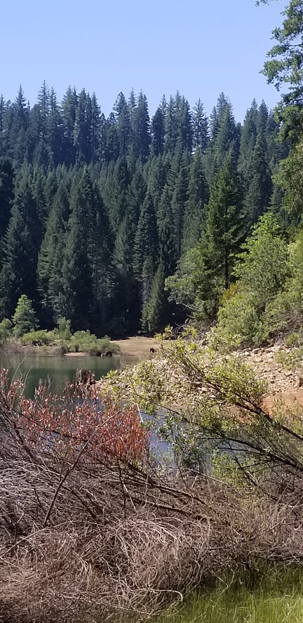 Strawberry Campground