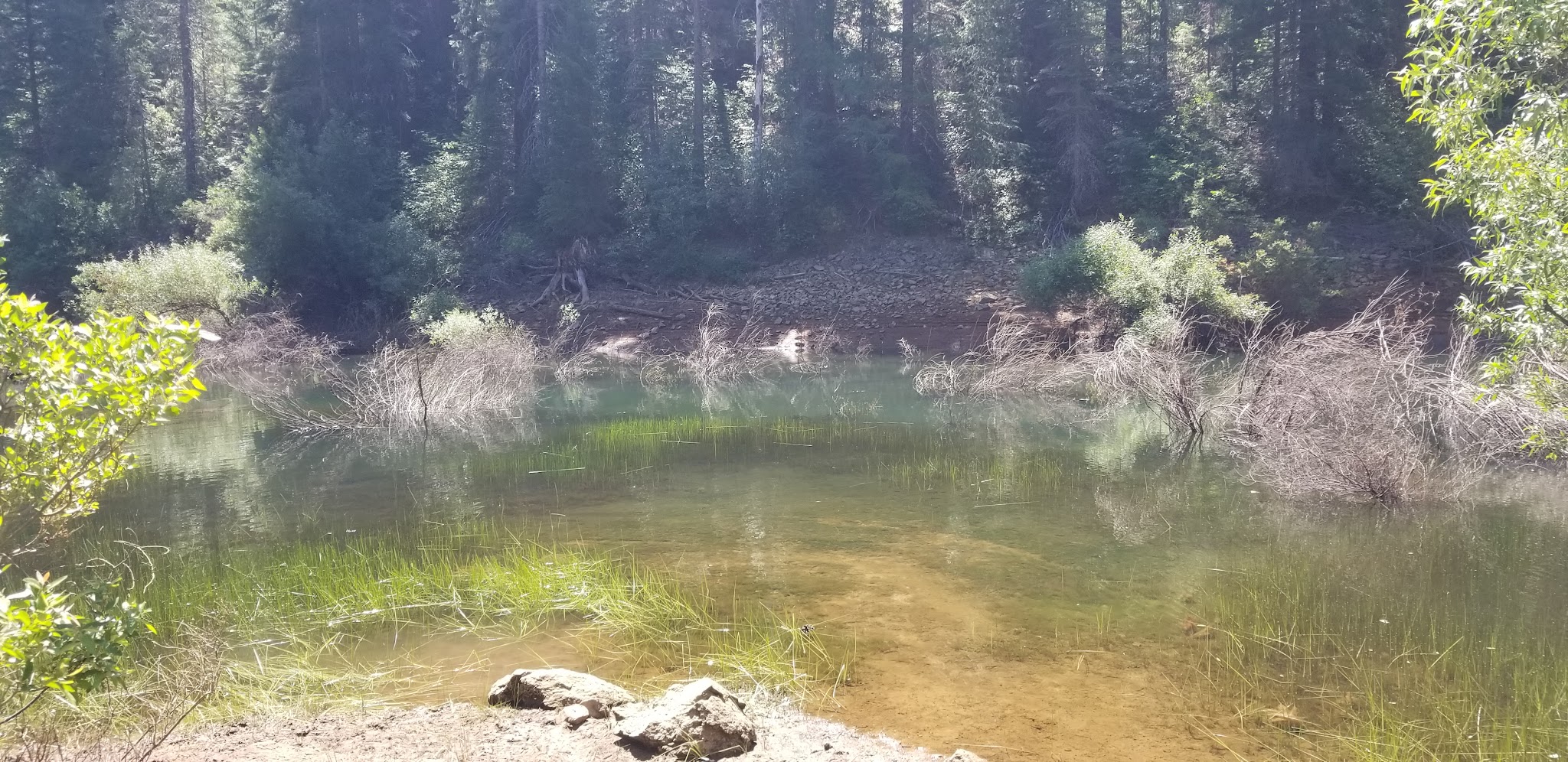 Strawberry Campground