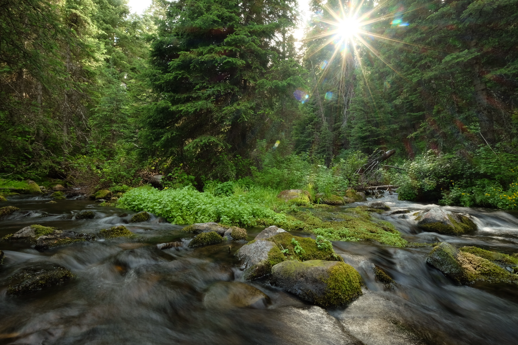 Strawberry Campground