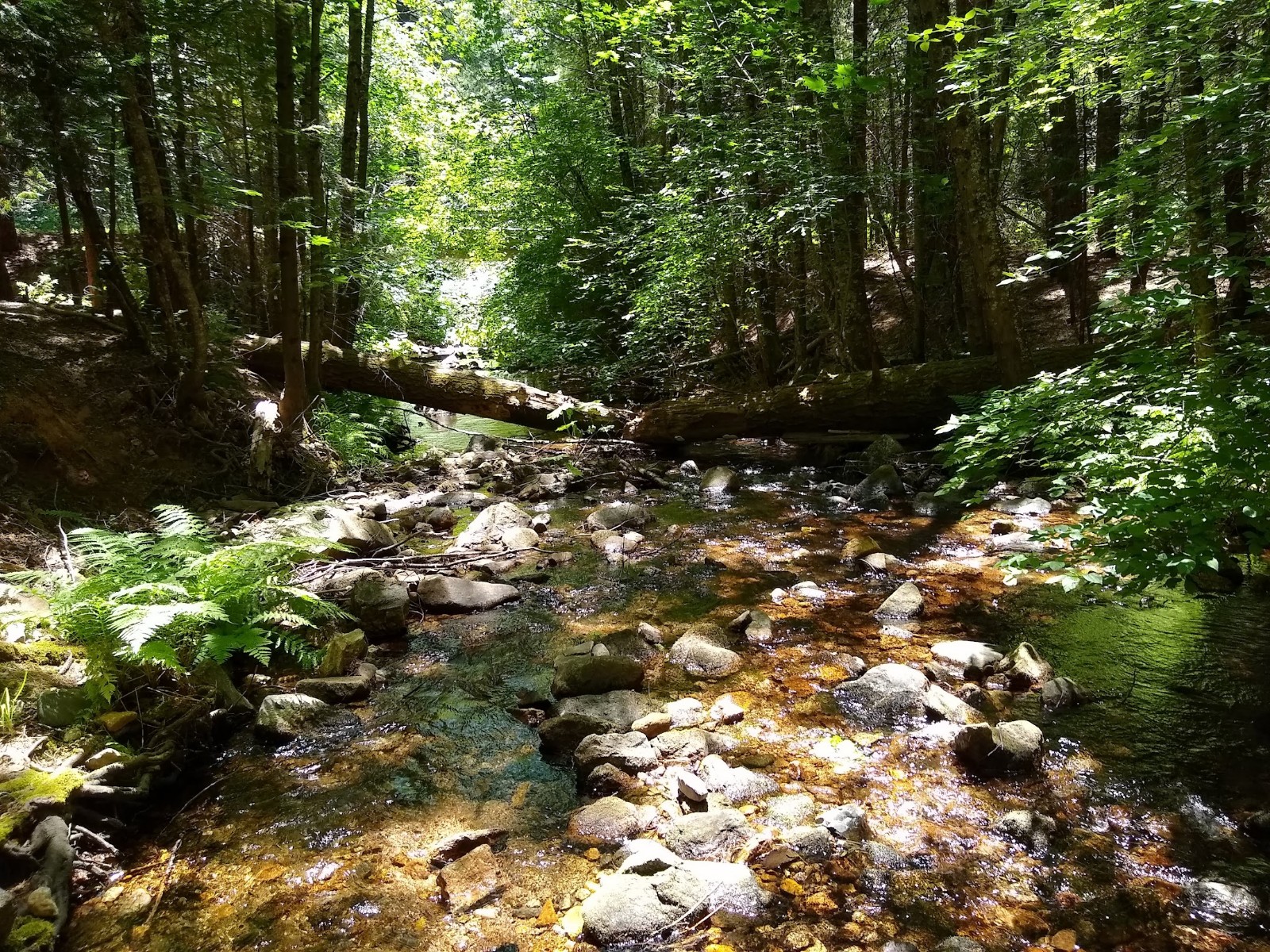 Strawberry Campground