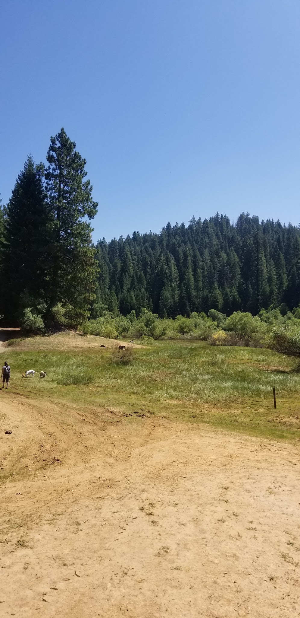 Strawberry Campground