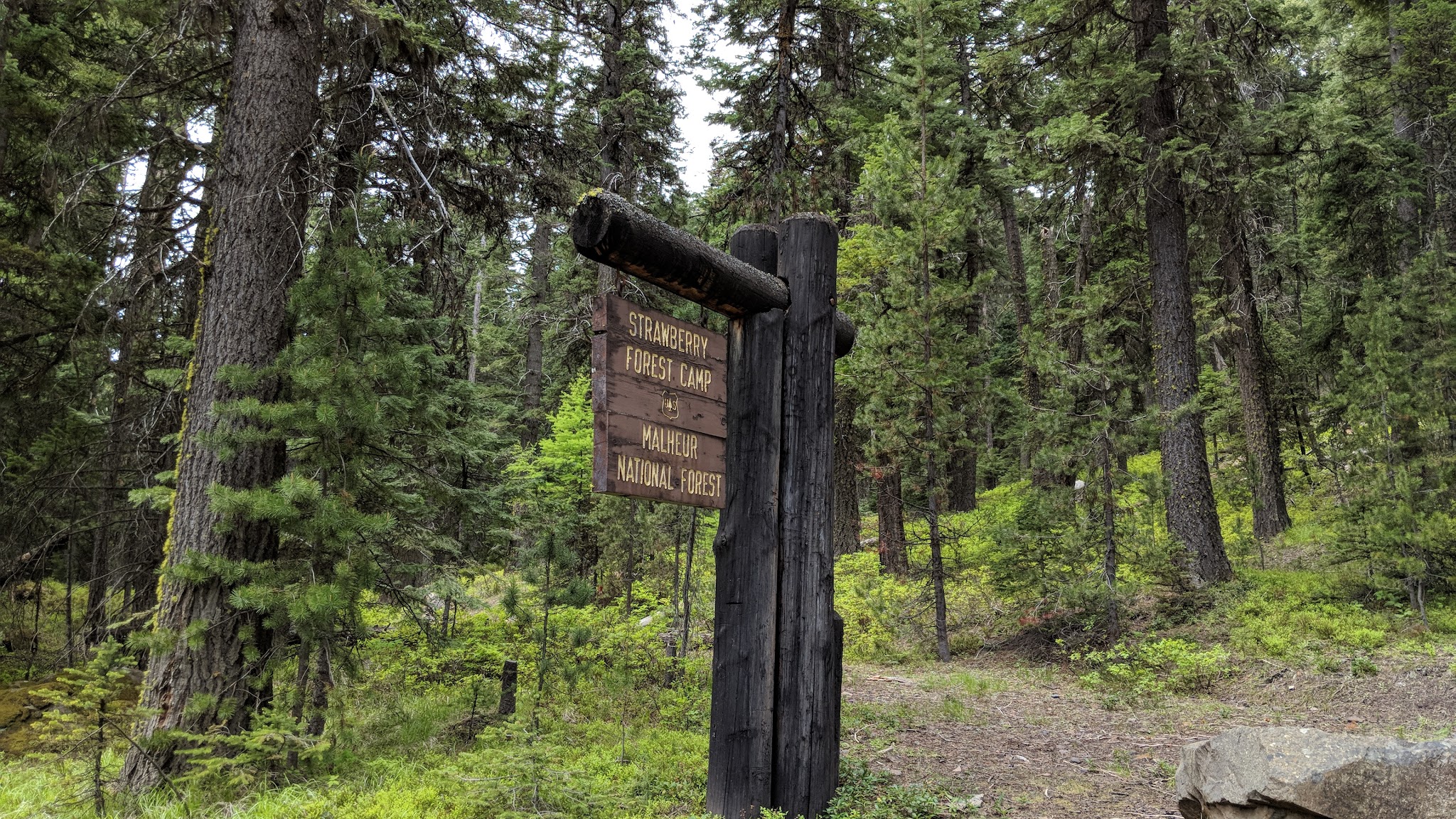 Strawberry Campground