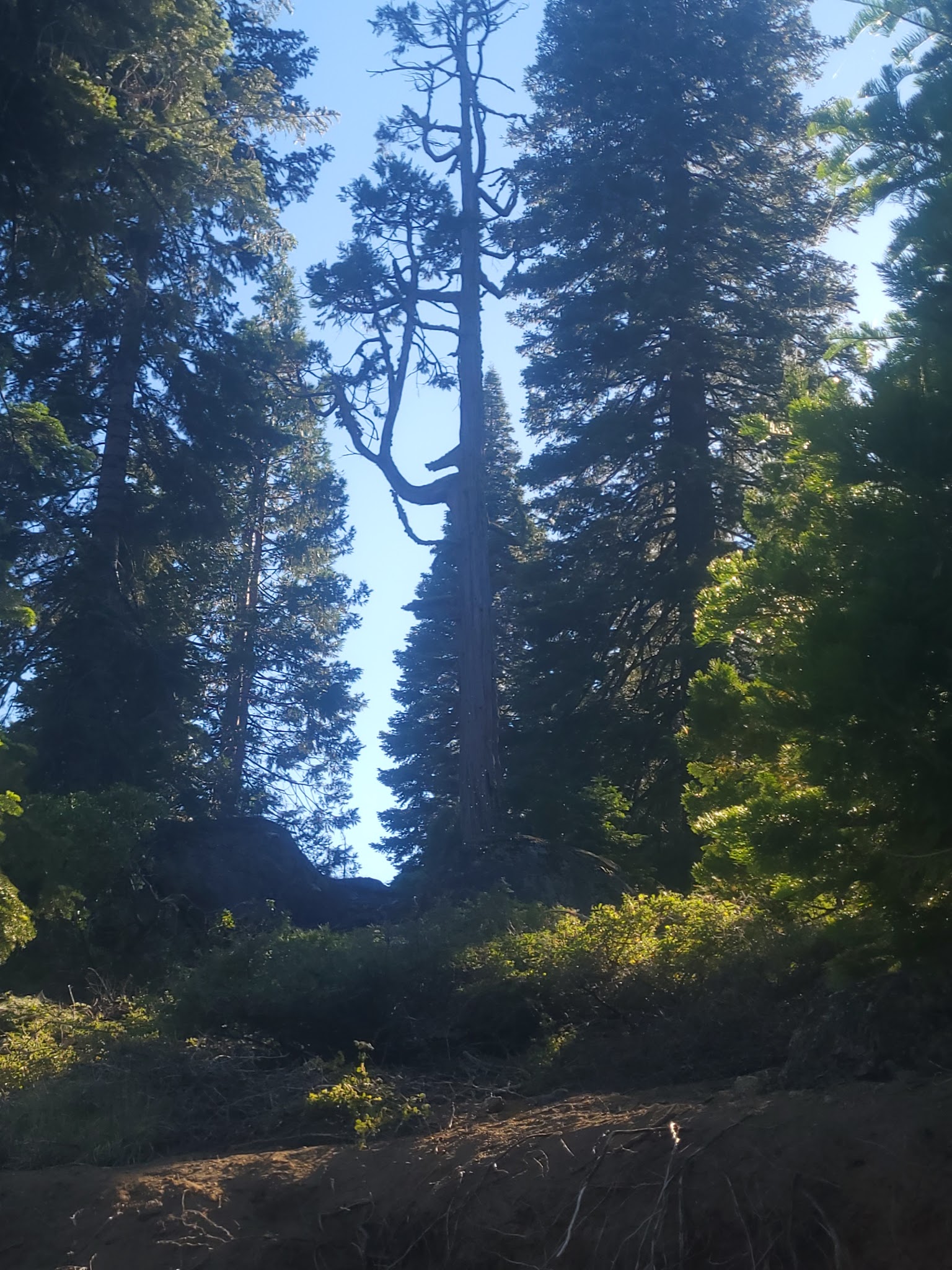 Strawberry Point Campground