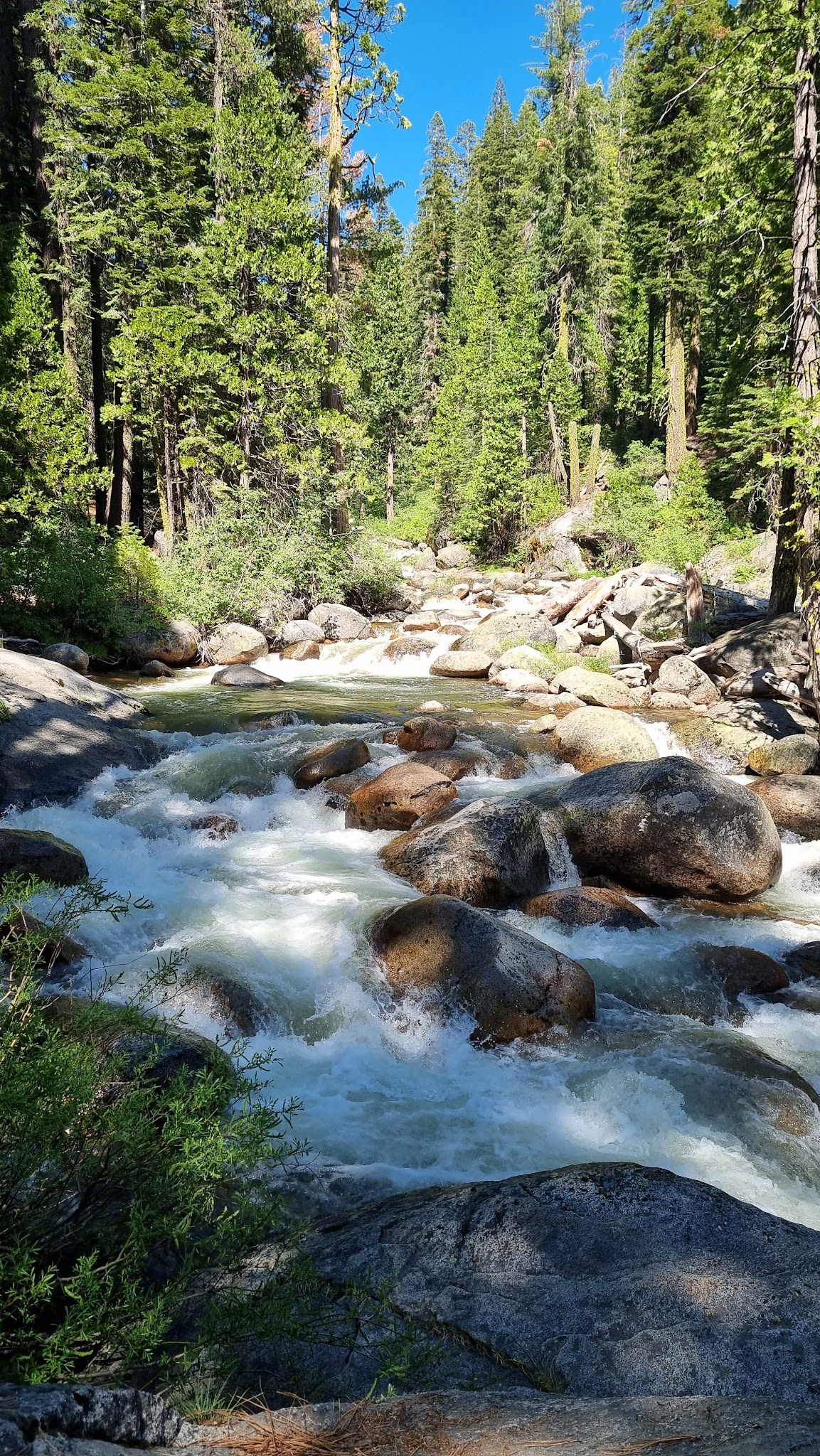 Strawberry Point Campground