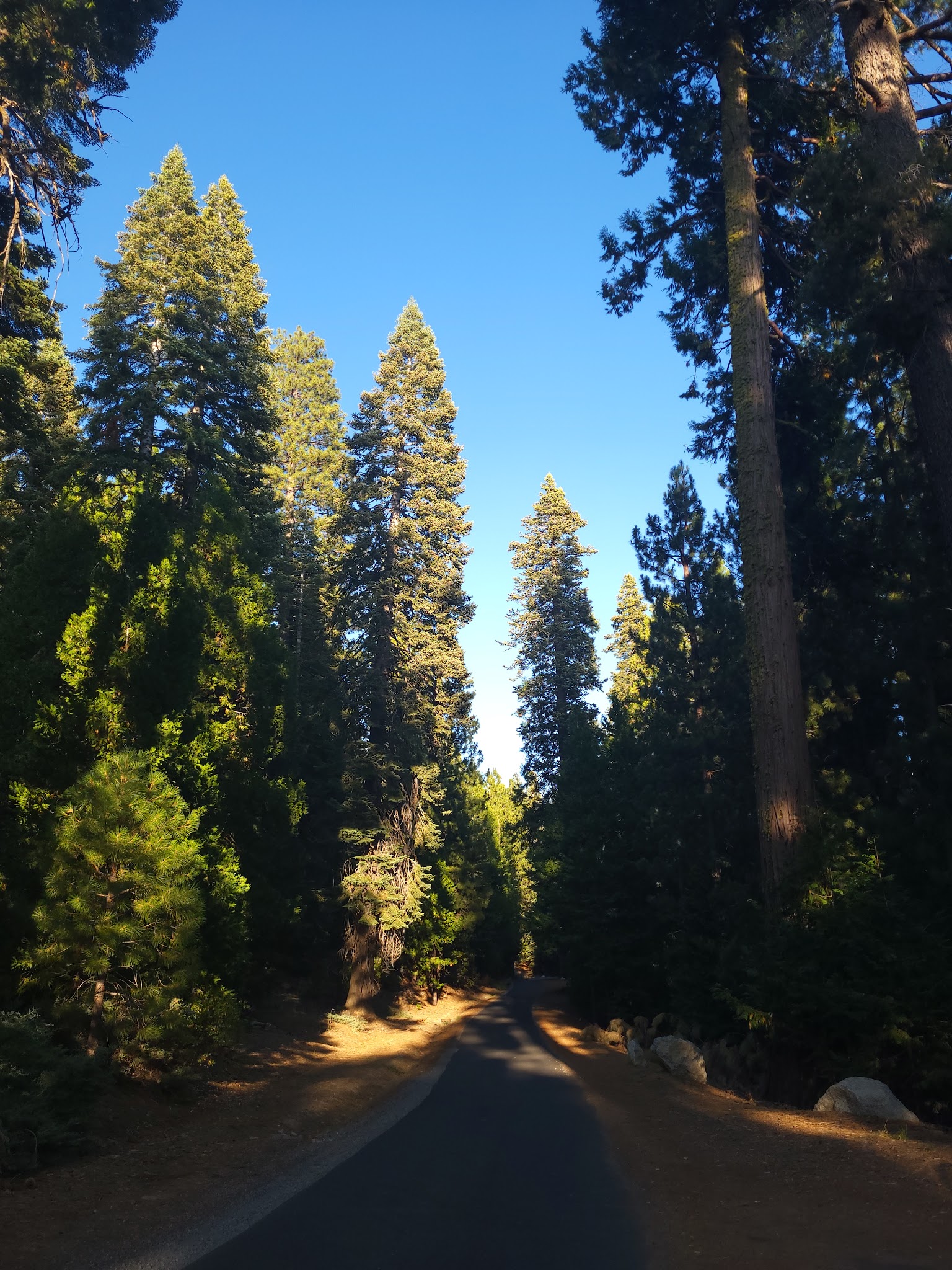 Strawberry Point Campground