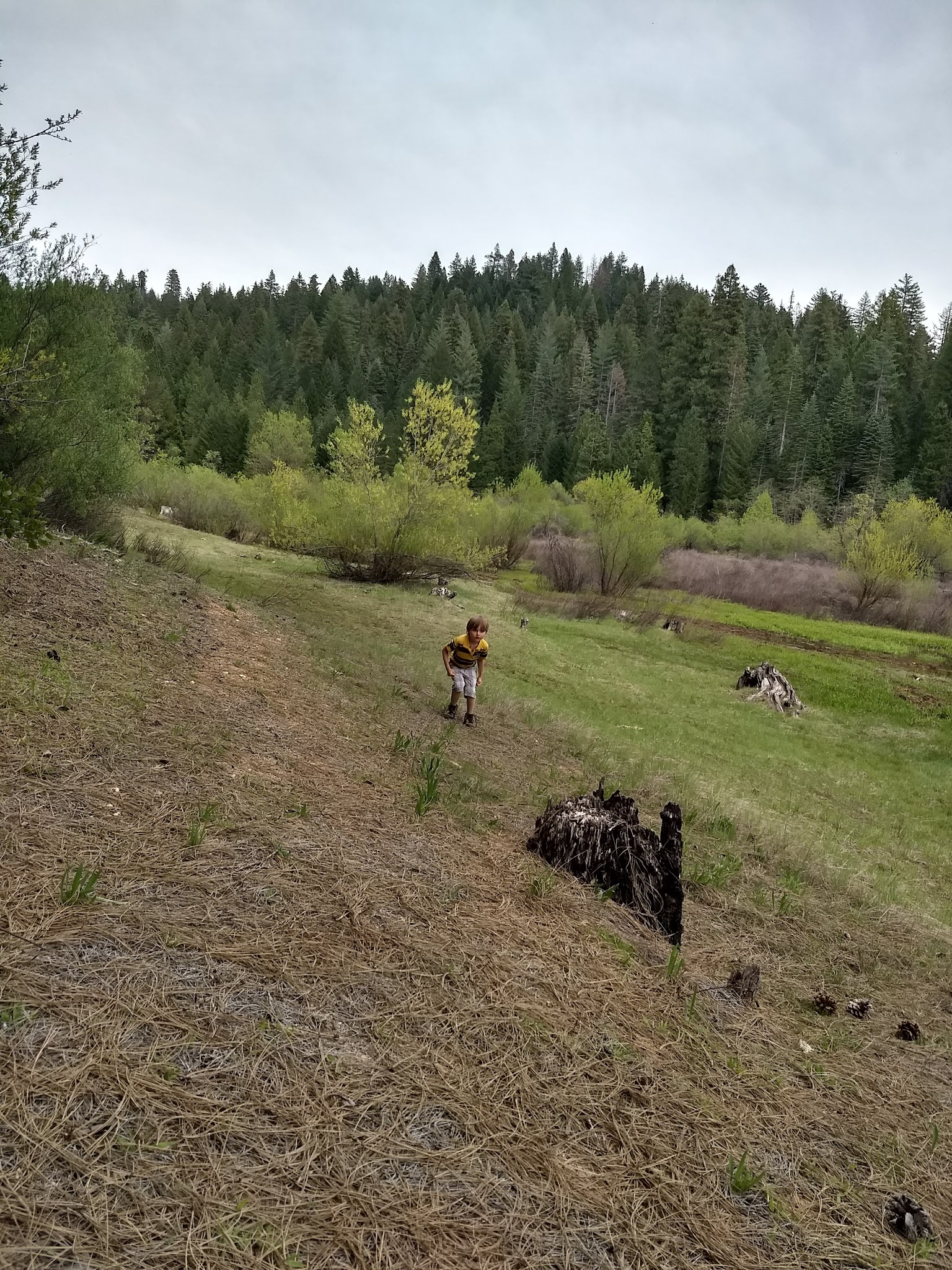 Strawberry Point Campground