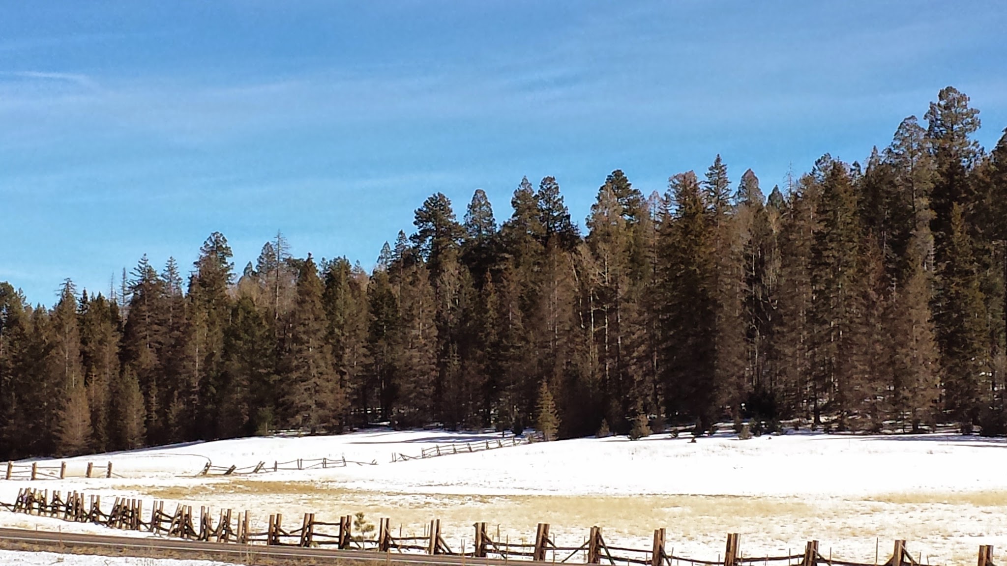 Strayhorse Campground