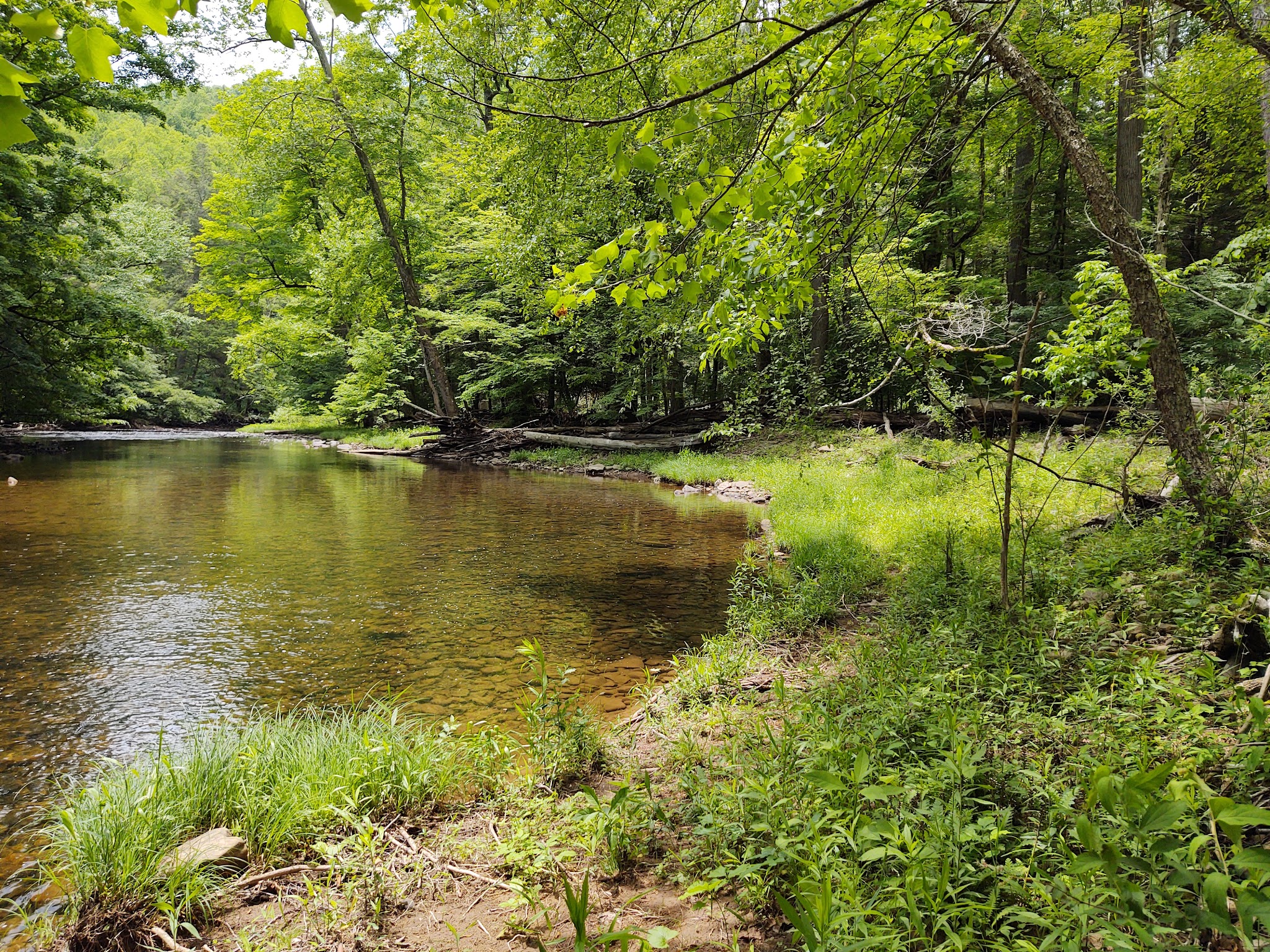 Stuart Recreation Area