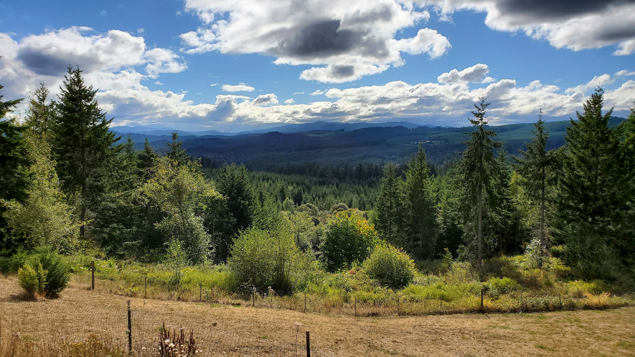 L.L. Stub Stewart Memorial State Park