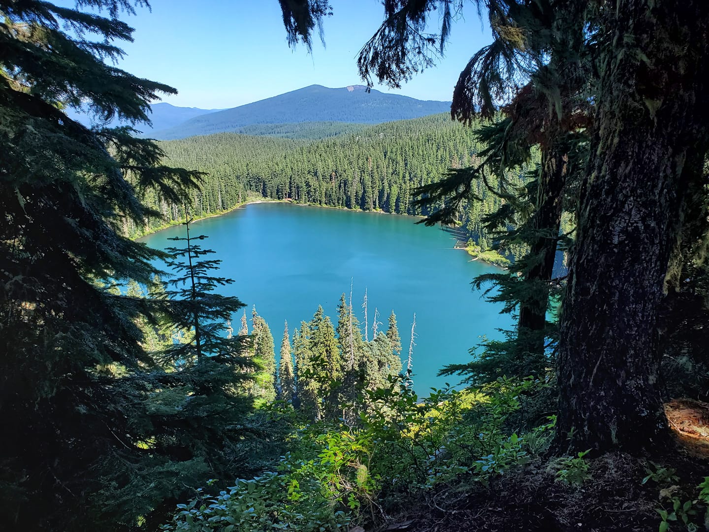 Lower Lake (Olallie Lake) Campground