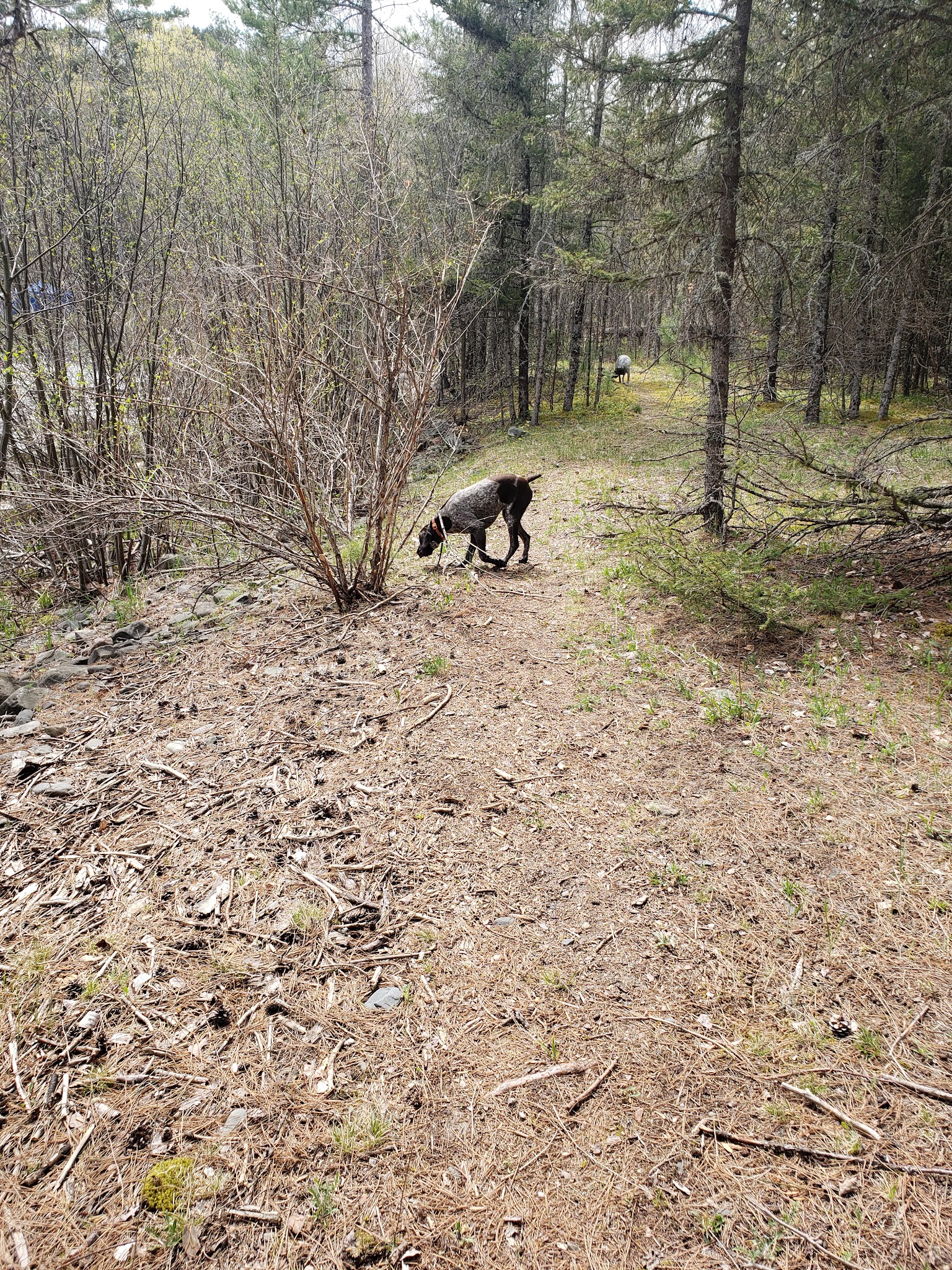 Sturgeon River Campground
