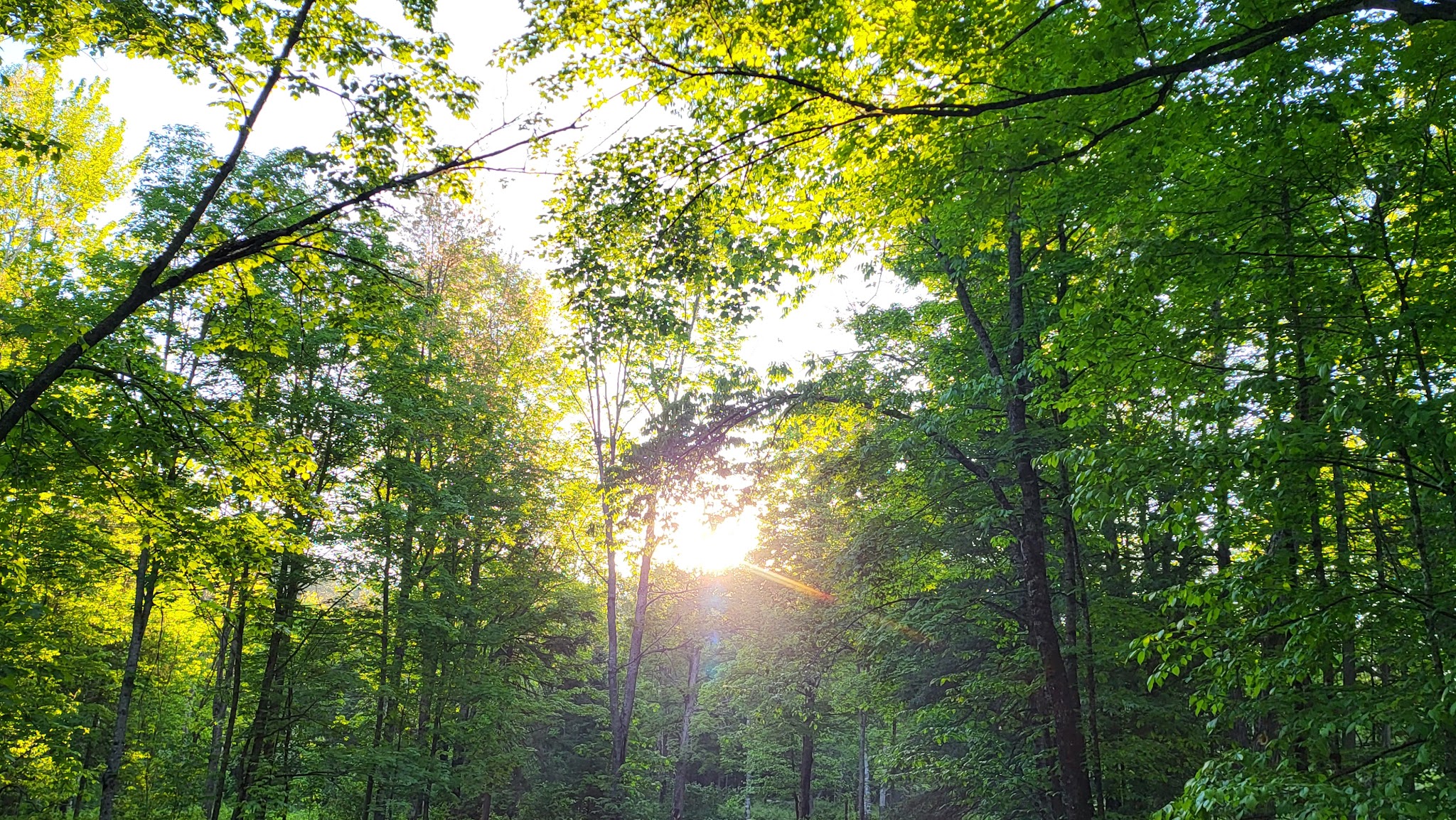 Sturgeon River Campground