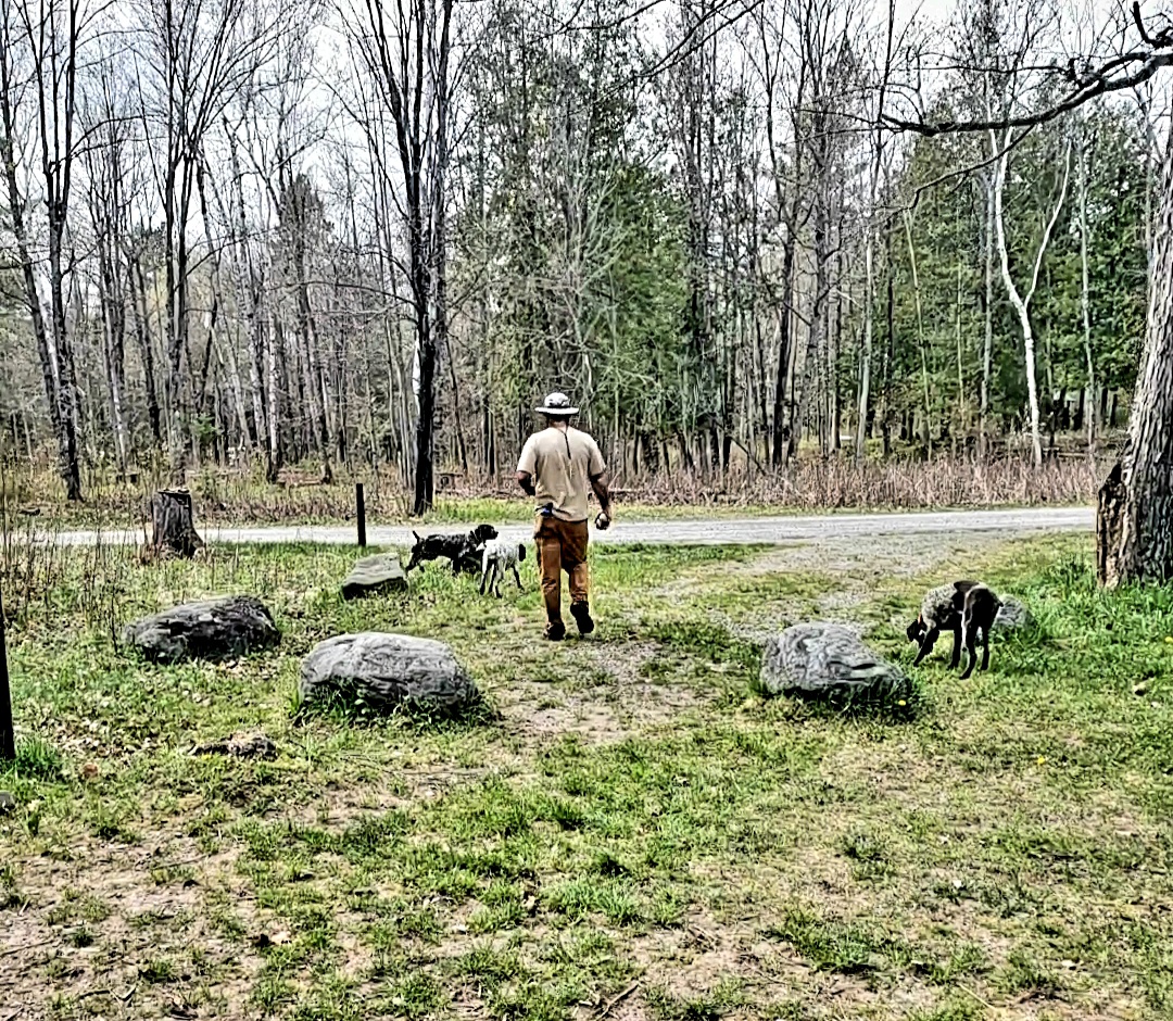 Sturgeon River Campground