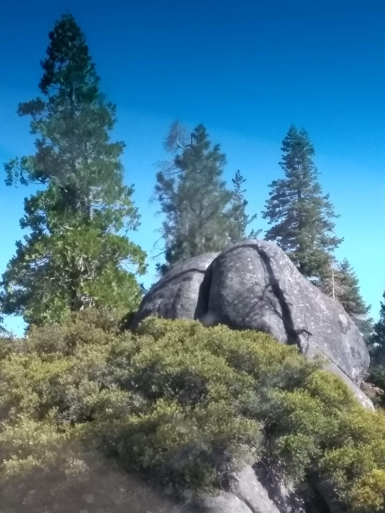 Sugar Pine Point Campground